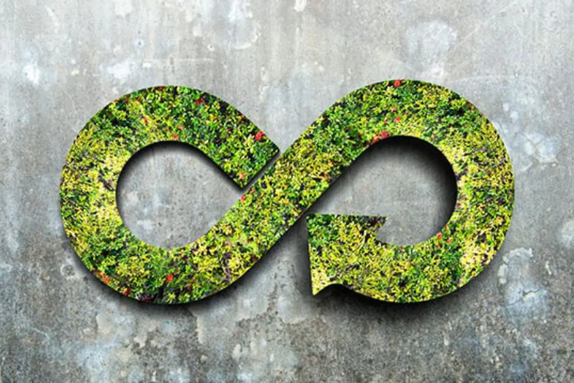 Circular Economy là gì? Circular Economy tại Việt Nam và trên thế giới đang như thế nào?