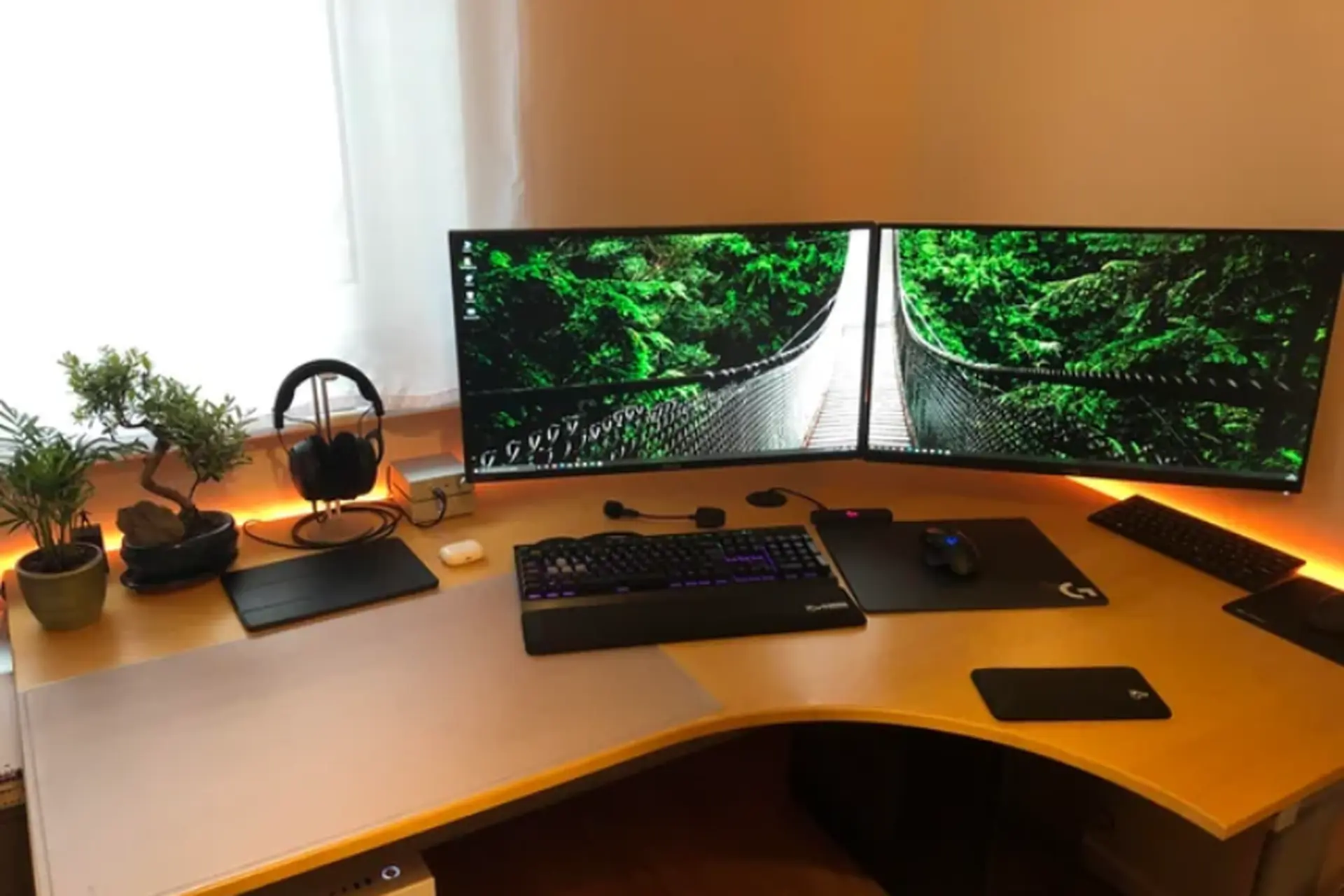 Có nên để cây xanh trong góc PC hay không? Những lợi ích bất ngờ bạn nên biết