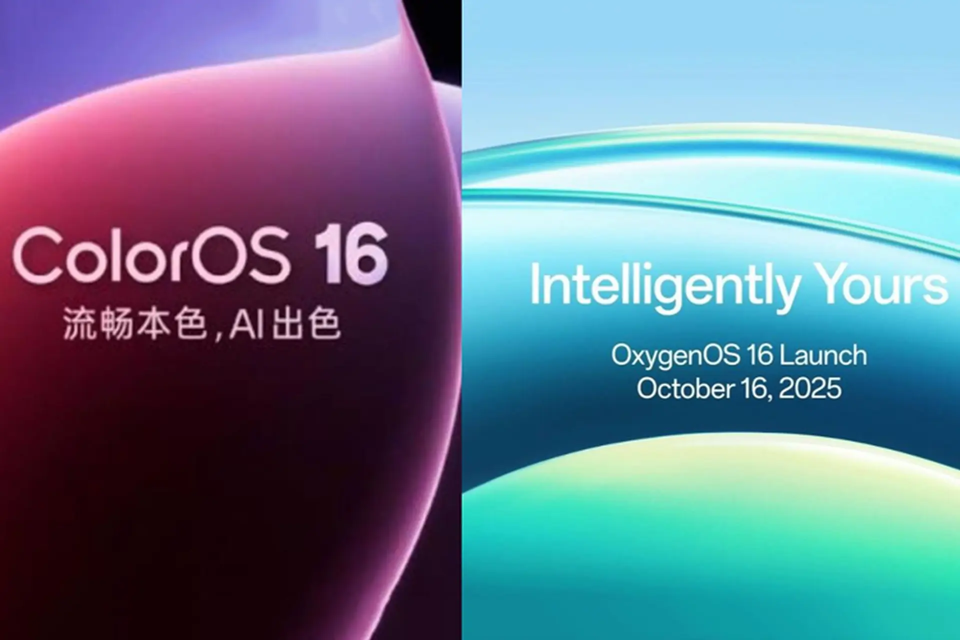 ColorOS 16 và OxygenOS 16 mở chương trình thử nghiệm công khai với điều kiện đi kèm