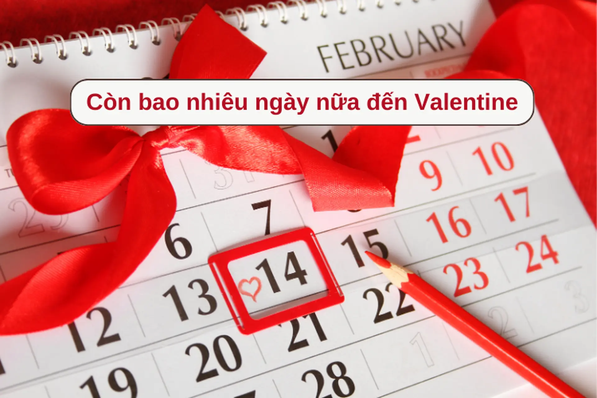 Còn bao nhiêu ngày nữa đến Valentine năm 2025? Ý nghĩa của các ngày Valentine 