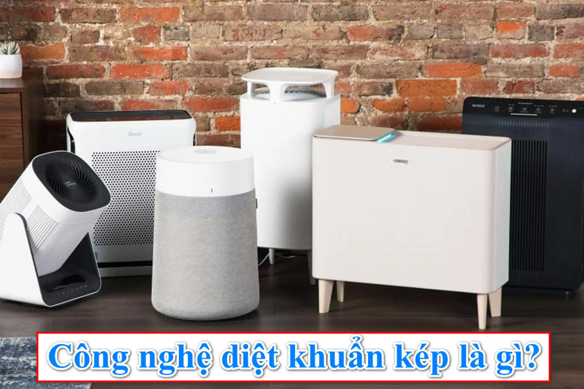 Khám phá công nghệ diệt khuẩn kép trong máy lọc không khí: Giải pháp hoàn hảo để làm sạch không khí