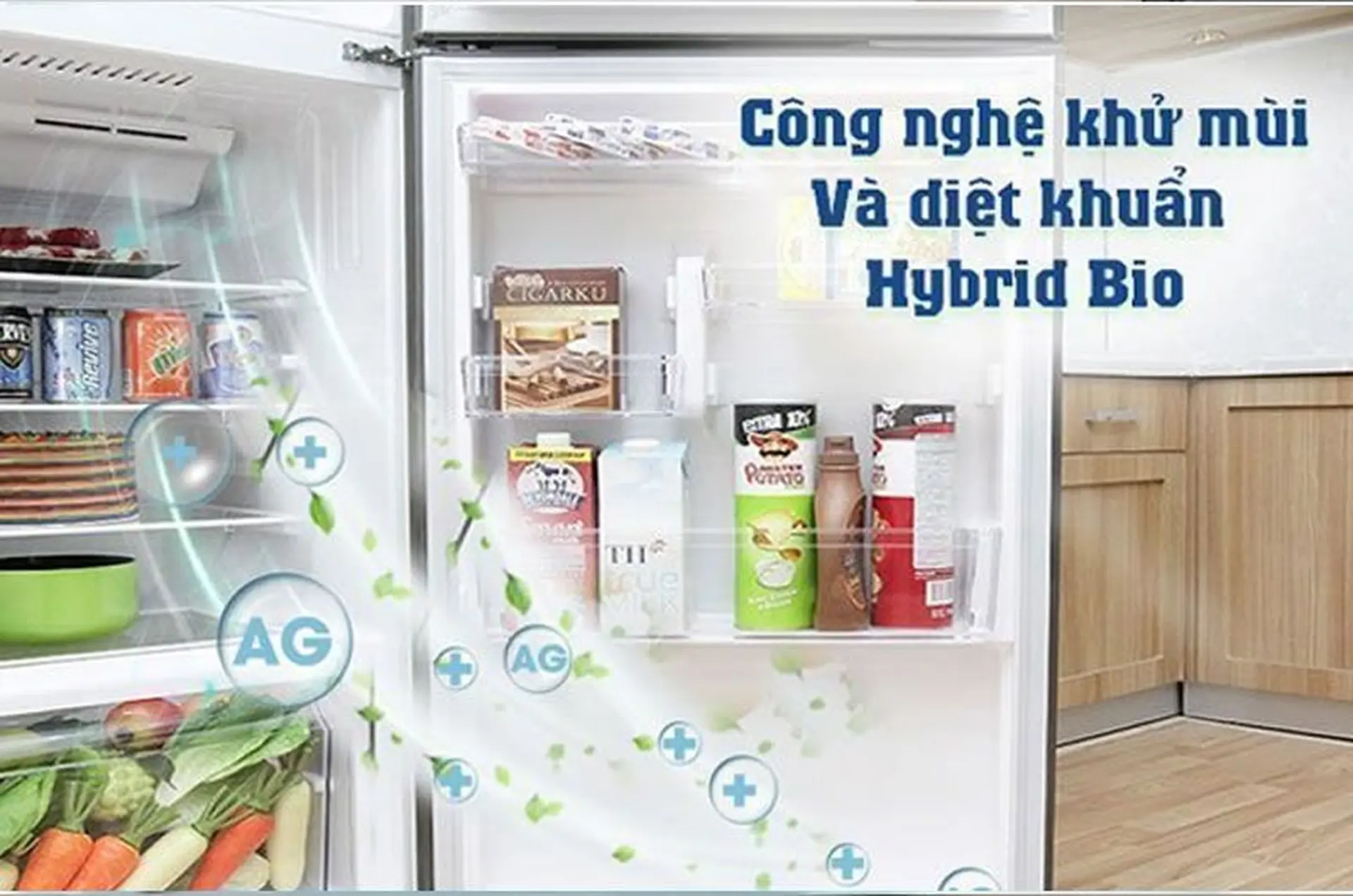 Công nghệ Hybrid Bio là gì? Nguyên lý hoạt động và công dụng của công nghệ kháng khuẩn Hybrid Bio