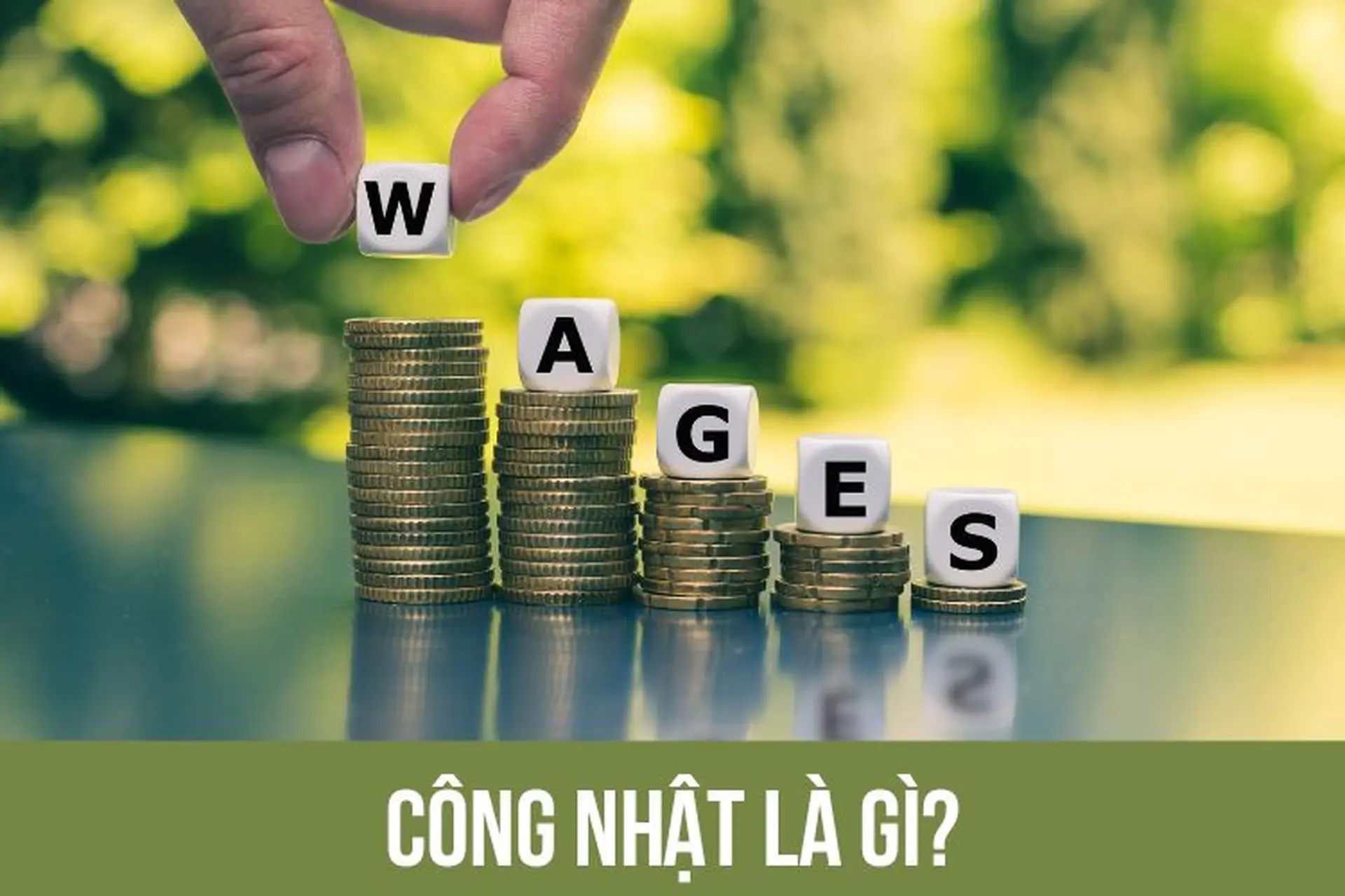 Công nhật là gì? Tìm hiểu hình thức trả công theo ngày trong lao động truyền thống