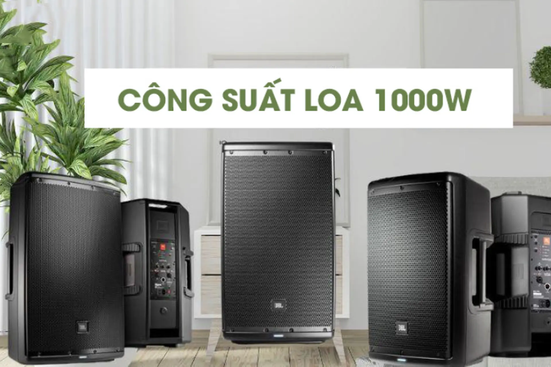Giải đáp: Công suất loa 1000W là gì? Có nên mua loa có công suất 1000W không? 