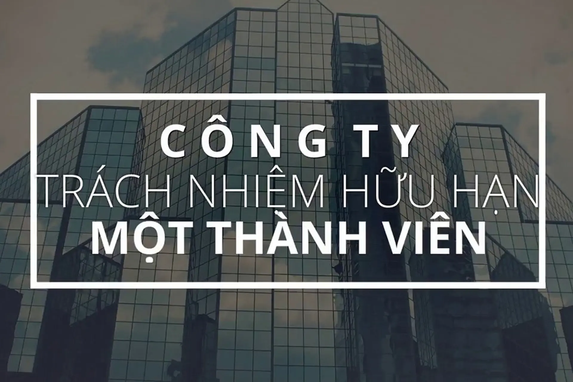 Công ty trách nhiệm hữu hạn một thành viên là gì? Quy định pháp lý và lệ phí môn bài mới nhất