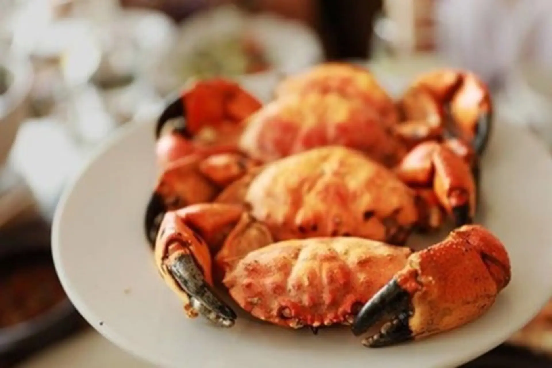 Cua cù kỳ - Đặc sản Quảng Ninh với nhiều món ăn hấp dẫn mà nhất định bạn phải thử