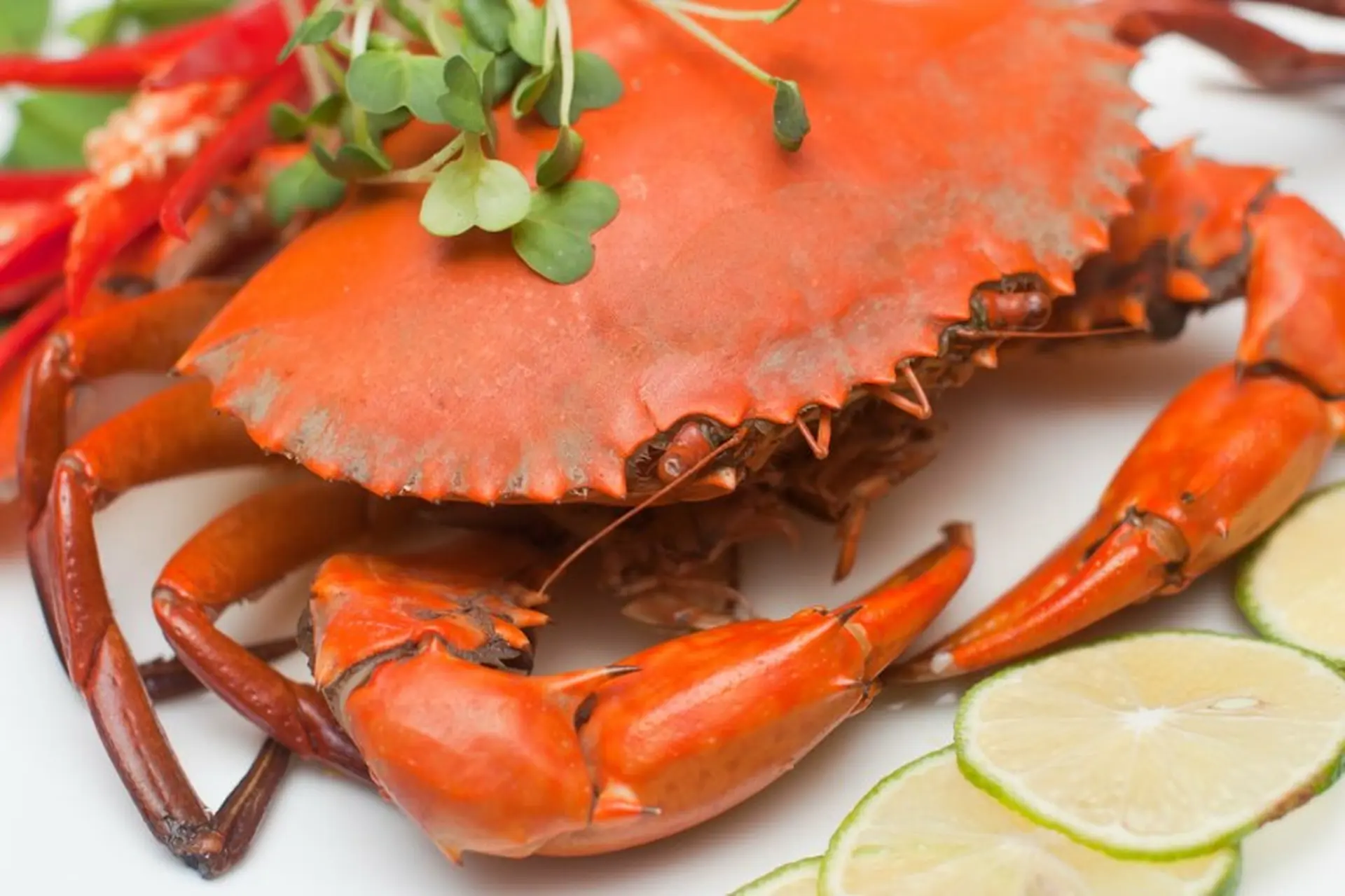 Cách làm món cua hấp bia thơm ngon đúng điệu như ăn ngoài quán