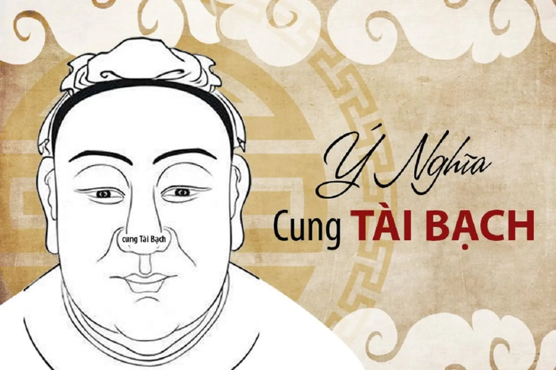 Cung Tài Bạch là gì? Giải mã cung đại diện tài vận, tiền bạc, và khả năng tích lũy trong tử vi