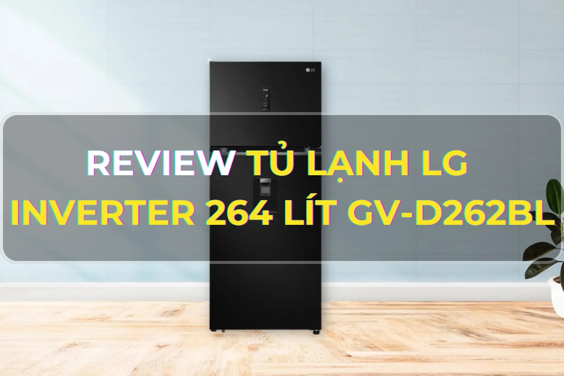 Review sản phẩm tủ lạnh LG Inverter 264 lít GV-D262BL - Sự lựa chọn thông minh dành cho gia đình nhỏ