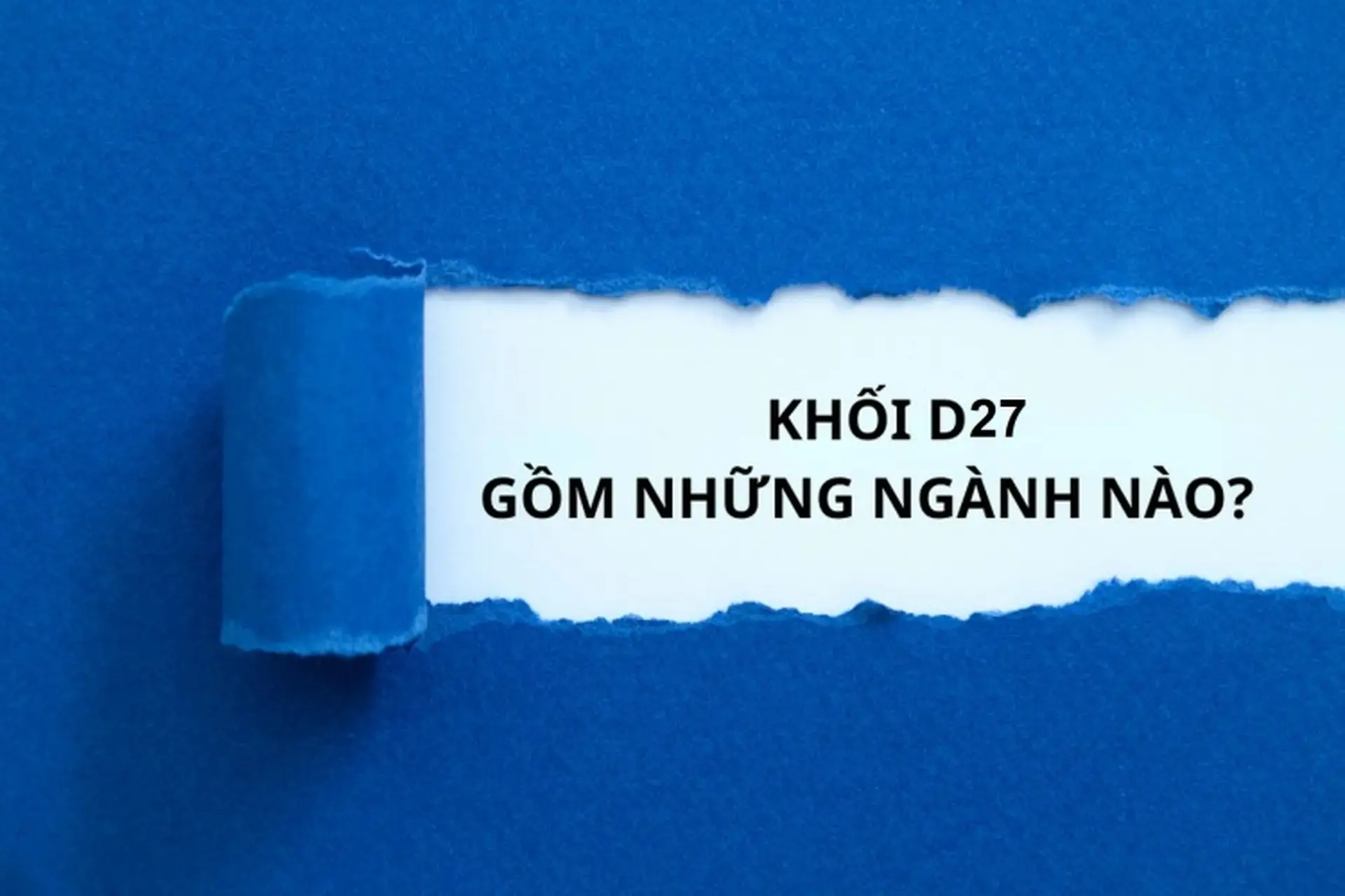 D27 gồm những môn nào? Ngành nào? Các trường đại học tuyển sinh khối D27 2025