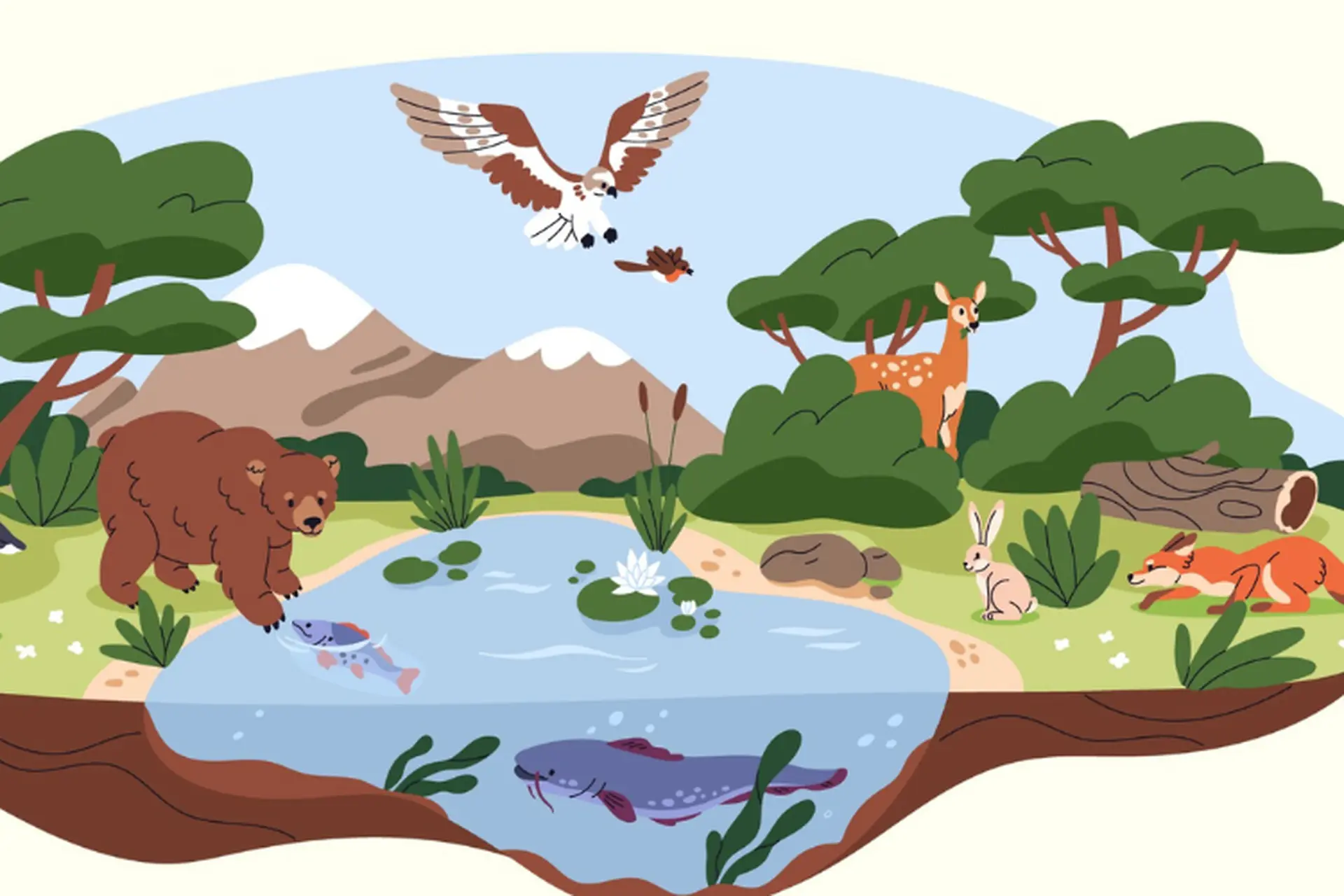 Đa dạng sinh học là gì? Tìm hiểu về khái niệm, phân loại và tầm quan trọng của đa dạng sinh học