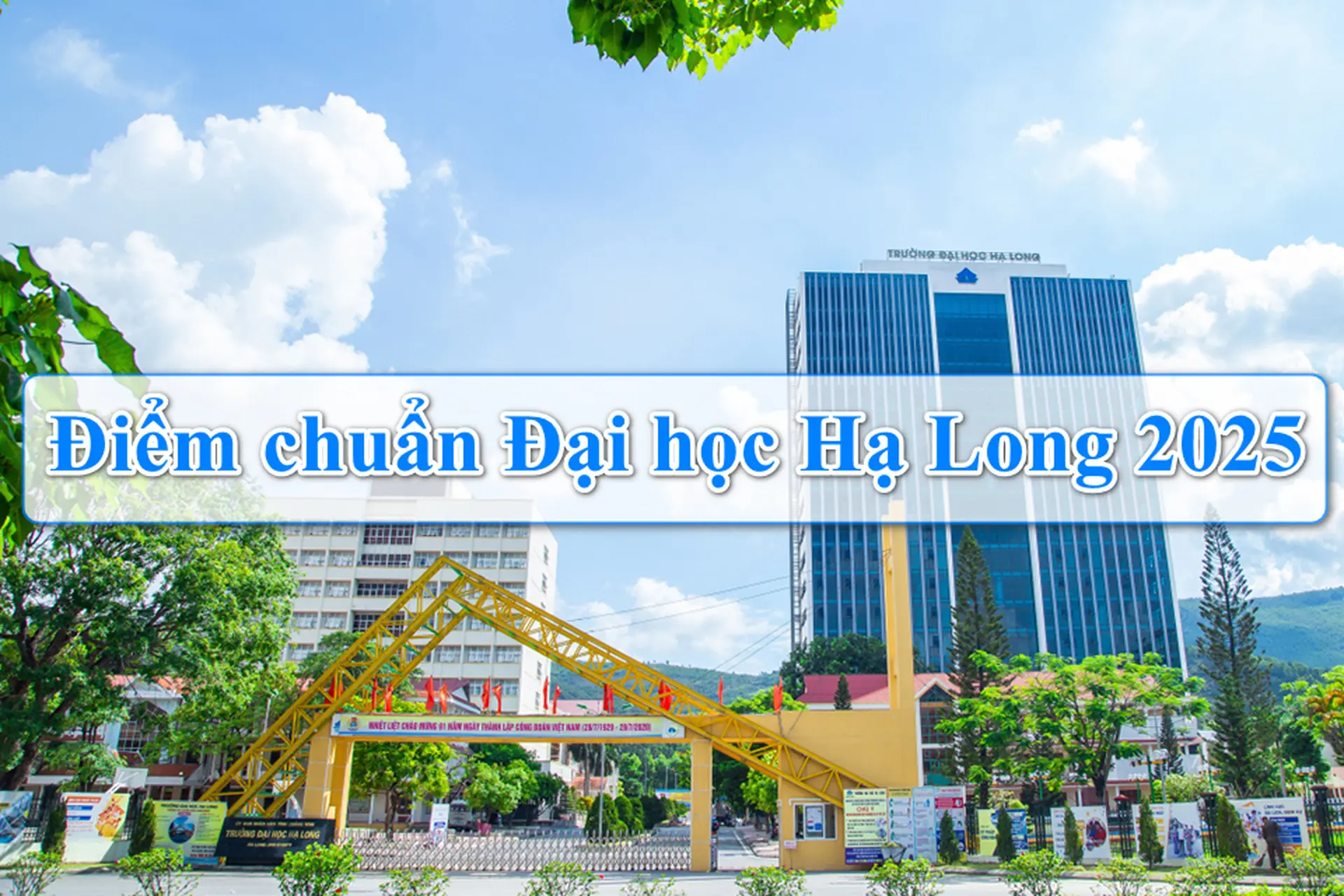Toàn cảnh điểm chuẩn Đại học Hạ Long 2025: Ngành hot nào đang dẫn đầu năm nay?