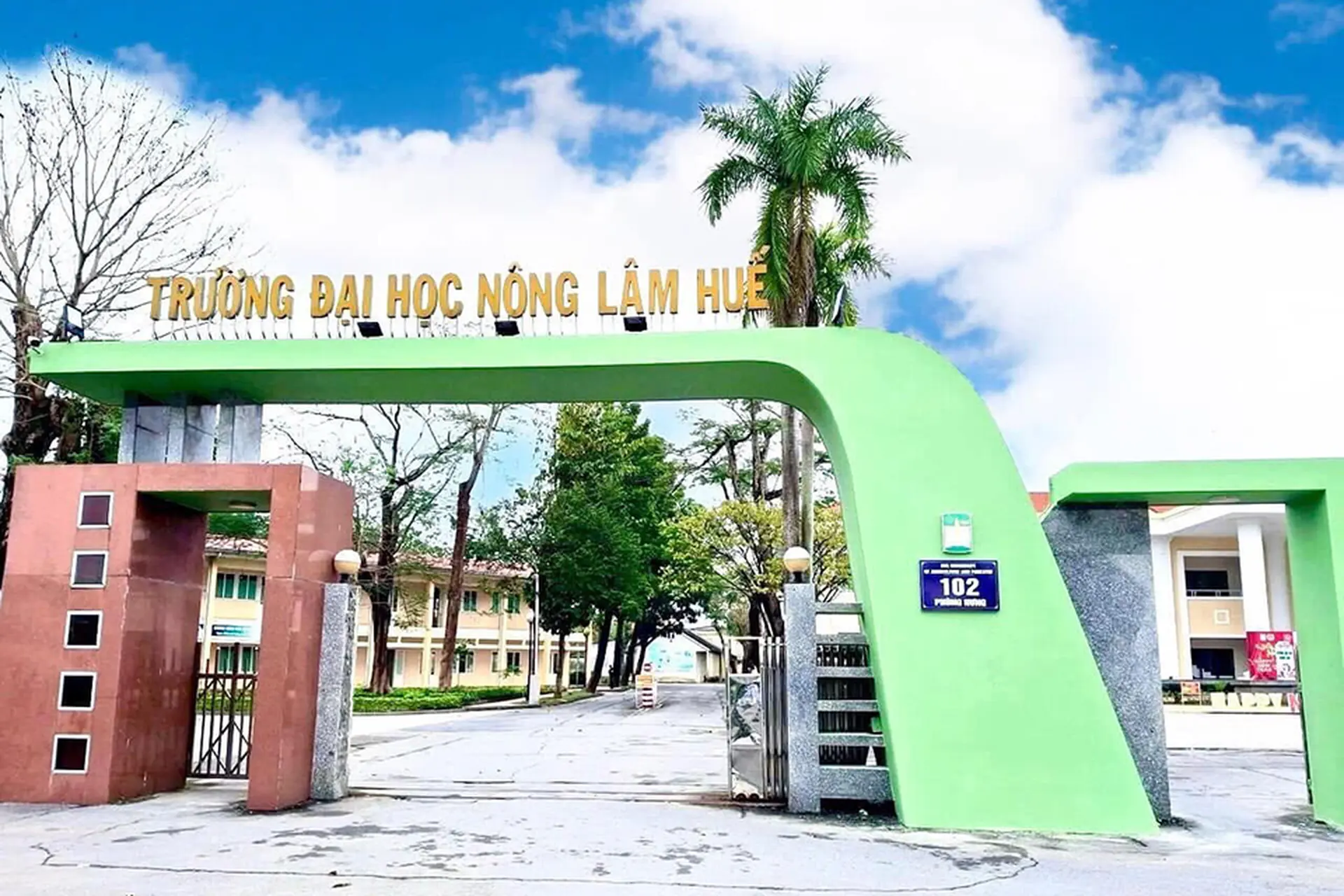 Chi tiết điểm chuẩn Đại học Nông Lâm Huế 2025 cho tất cả ngành mà thí sinh cần biết