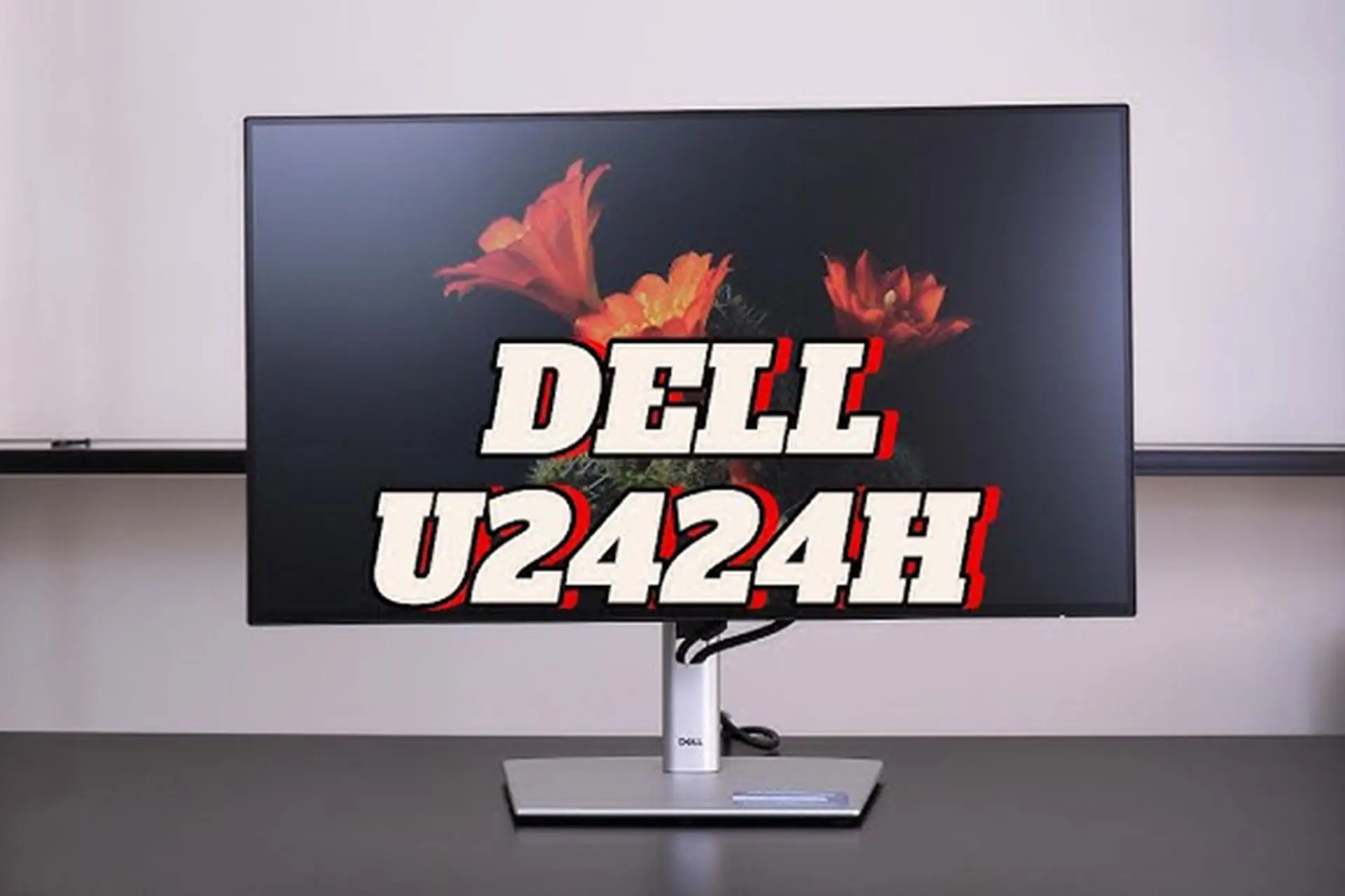 Đánh giá màn hình Dell UltraSharp U2424H: Khả năng hiển thị vượt mong đợi cho dân văn phòng
