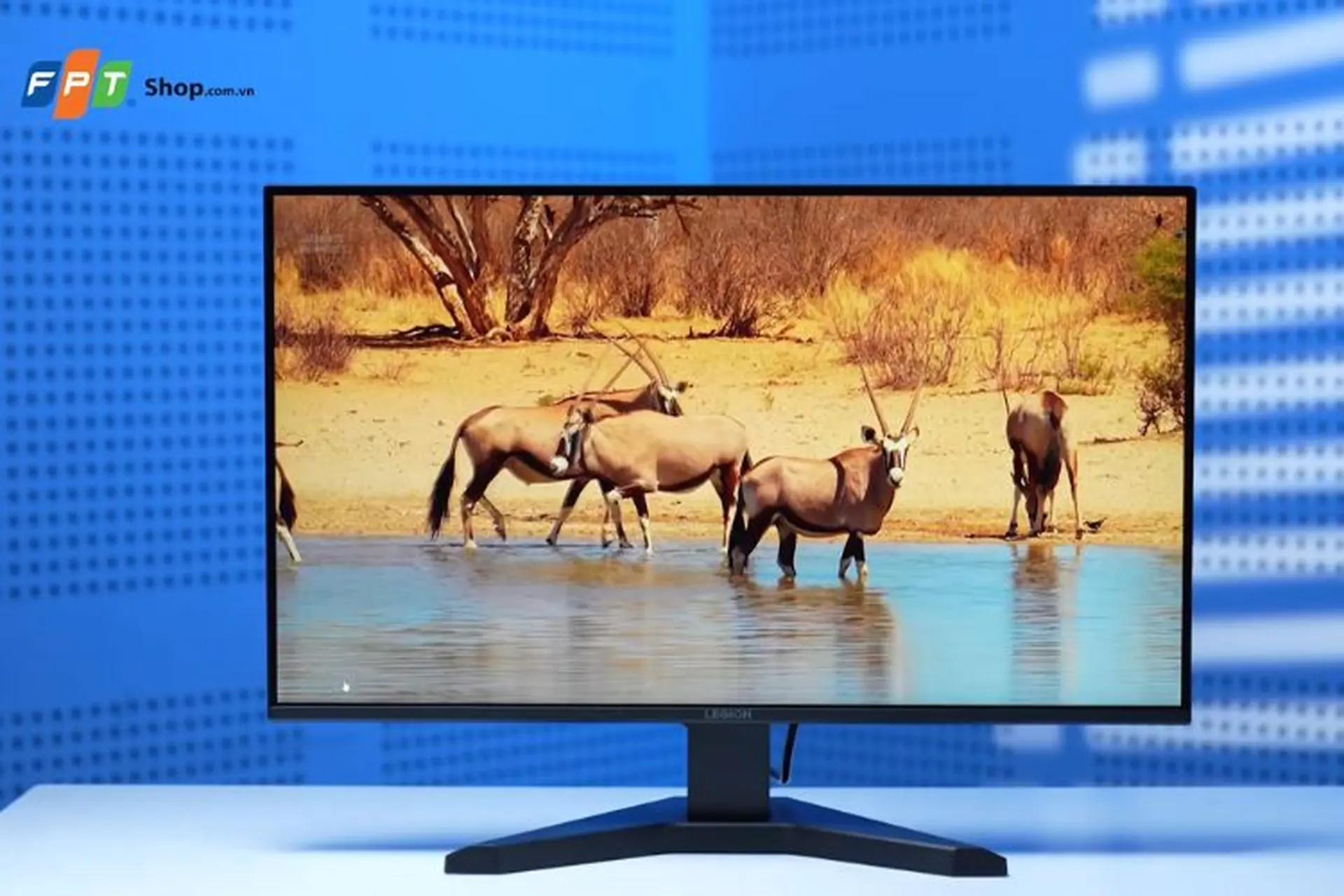 Đánh giá màn hình Lenovo R27s 68CCGAC1VN: Trải nghiệm gaming mượt mà với màn hình 27 inch 144 Hz