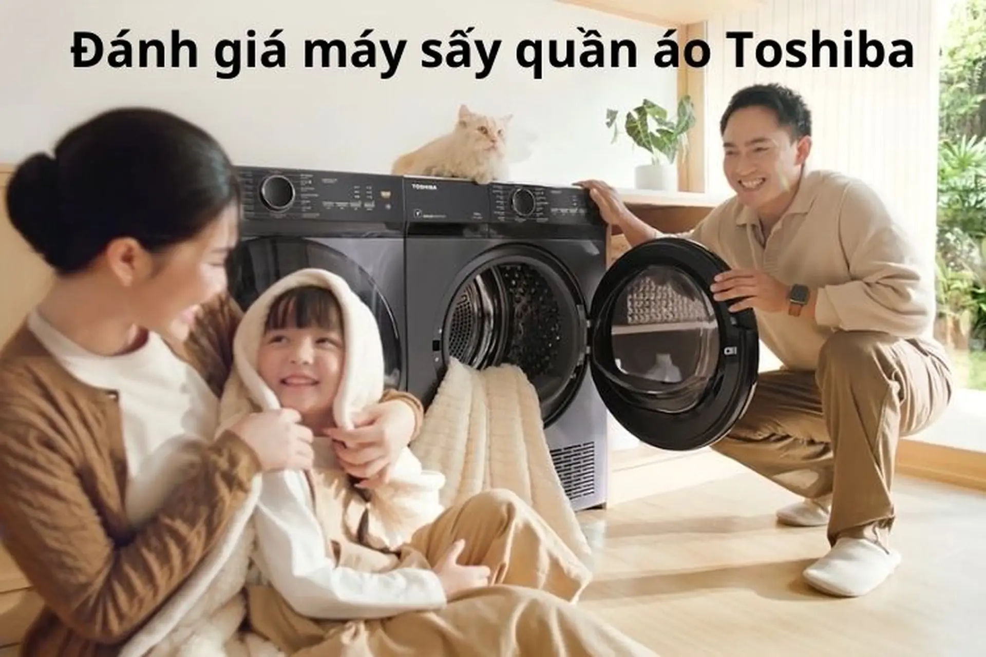 Đánh giá máy sấy quần áo Toshiba chi tiết: Có thực sự đáng mua cho gia đình Việt?