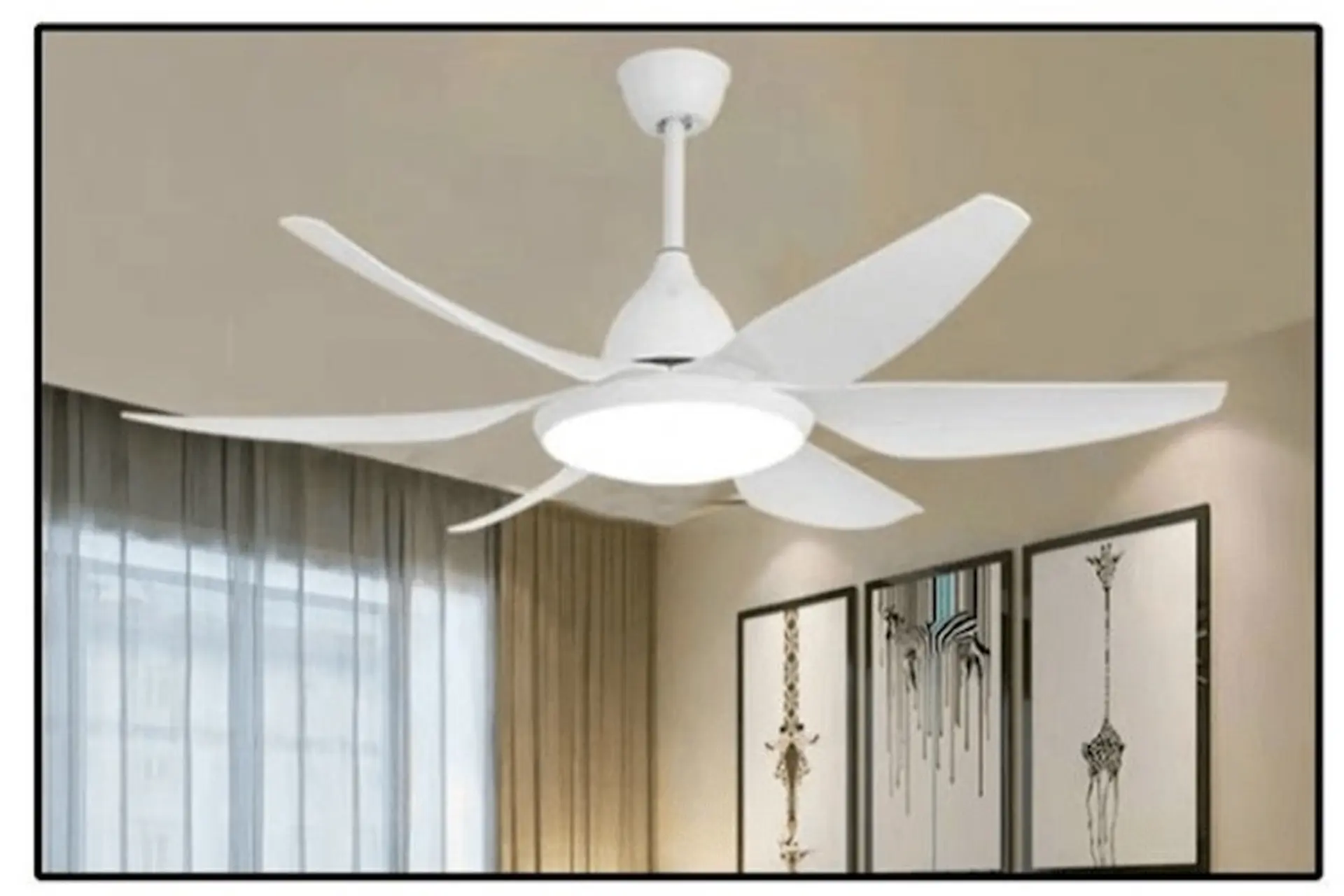 Đánh giá quạt Daikisu chi tiết chất lượng thiết kế và hiệu suất sử dụng thực tế