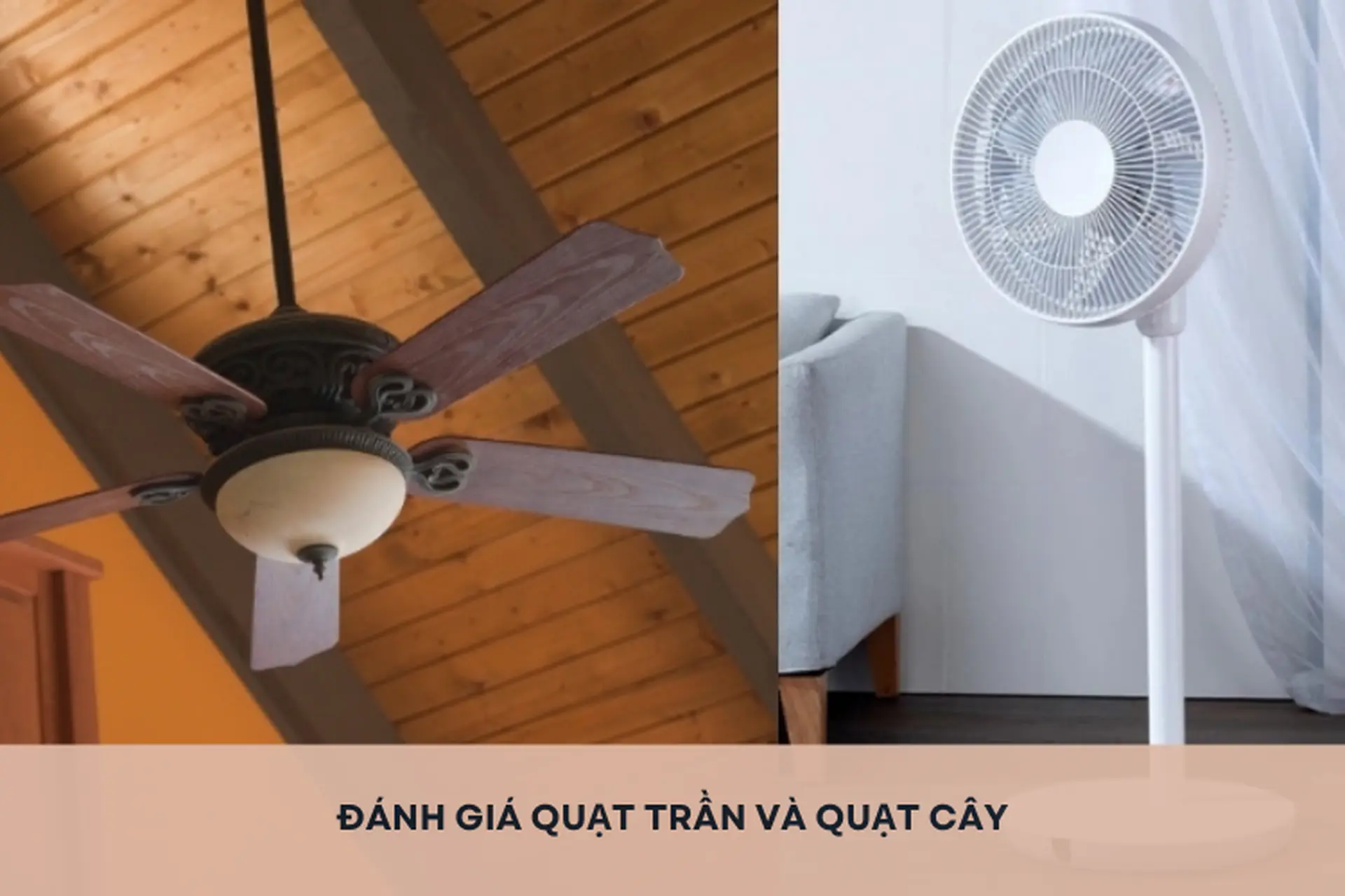 Đánh giá quạt trần và quạt cây: Lựa chọn nào phù hợp với phòng ngủ và phòng khách?