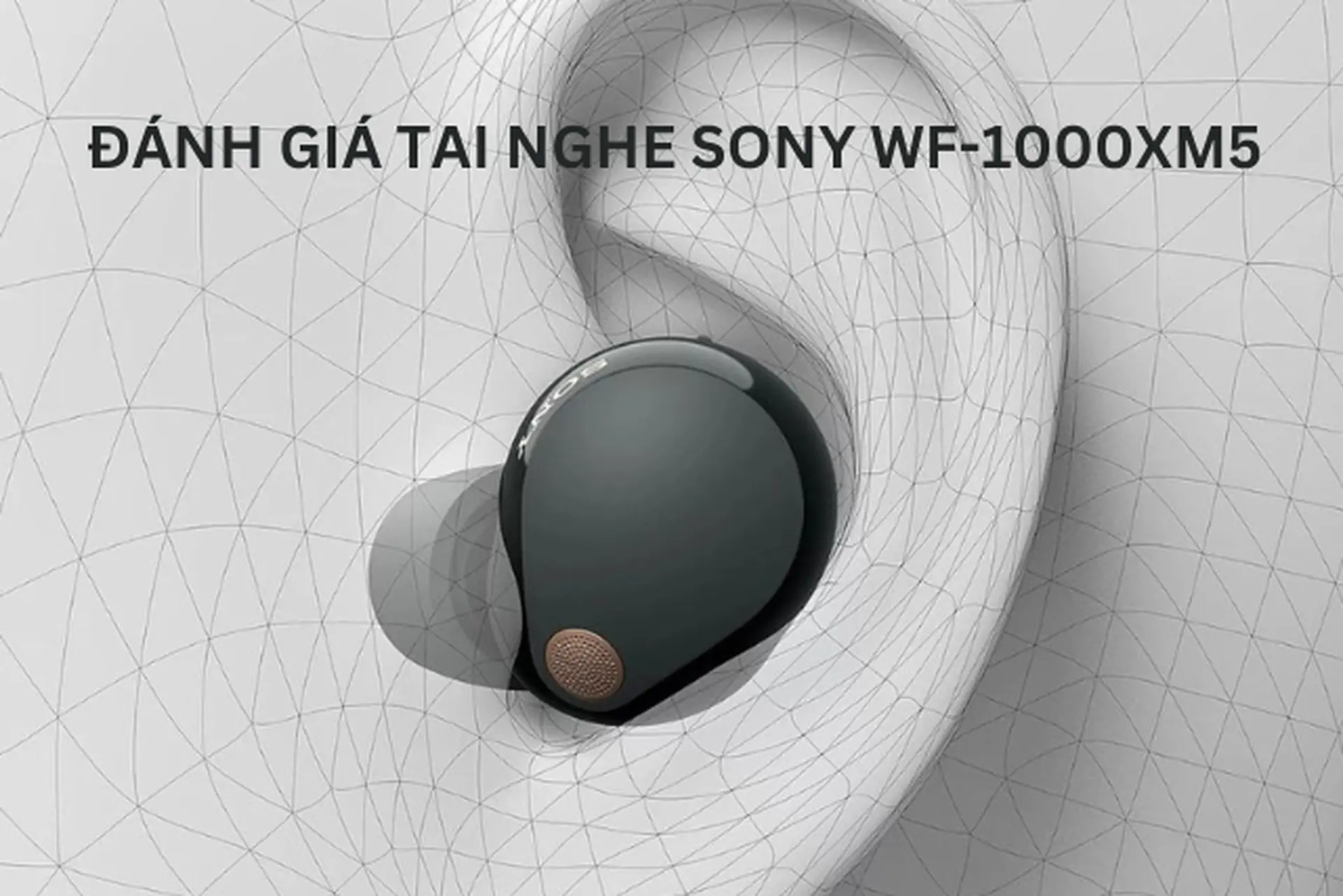 Đánh giá tai nghe Sony WF-1000XM5: Hiệu năng, chất âm và trải nghiệm thực tế có đáng để nâng cấp?