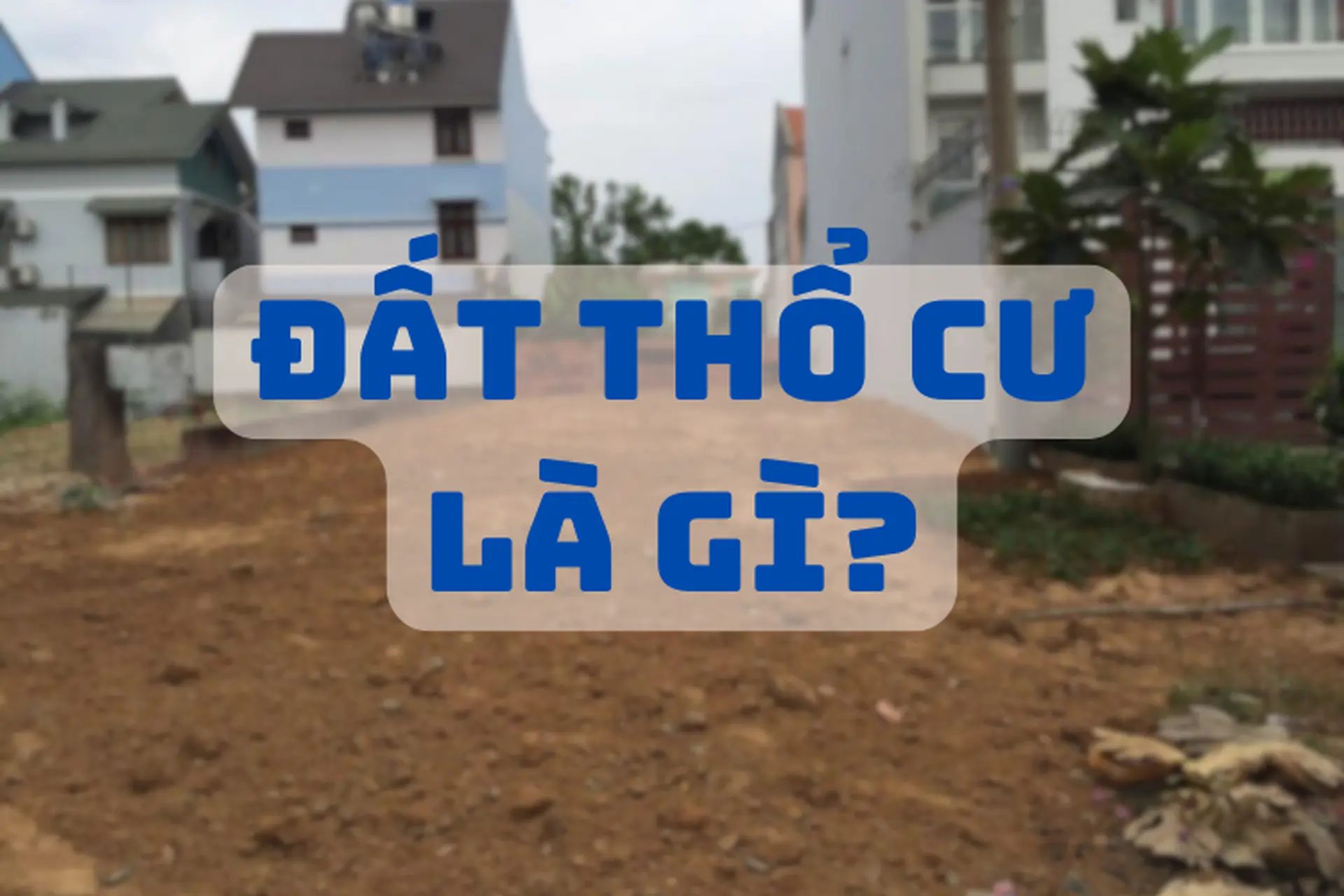 Đất thổ cư là gì? Những điều quan trọng bạn cần biết trước khi mua bán hoặc xây nhà