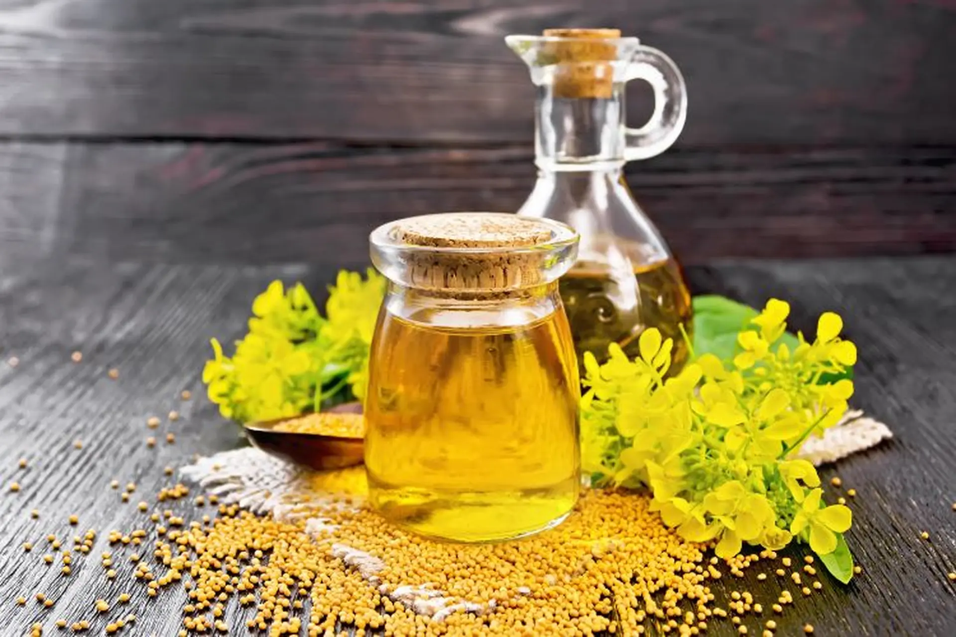 Dầu hạt cải là gì? Những tác dụng nổi bật của dầu hạt cải và cách sử dụng hiệu quả