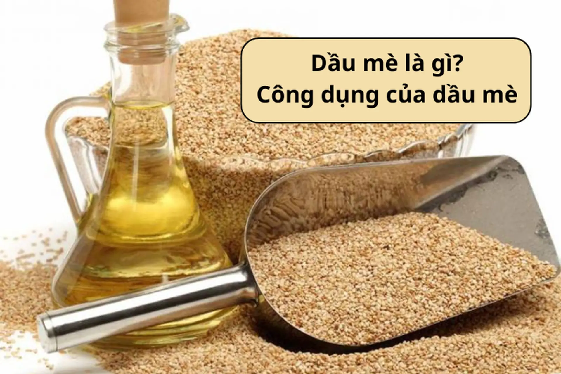 Dầu mè là gì? Khám phá những lợi ích tuyệt vời mà dầu mè mang lại cho sức khỏe