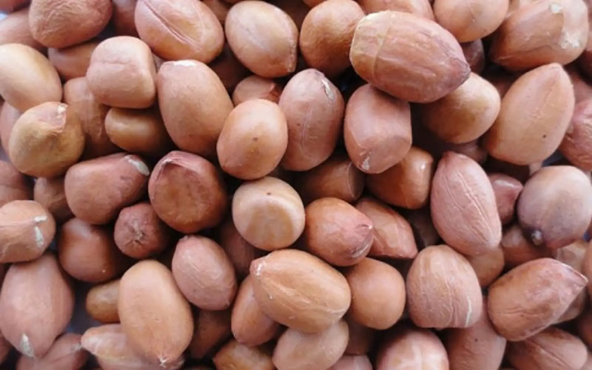 Giải đáp: Đậu phộng bao nhiêu calo​? Ăn đậu phộng thường xuyên có béo không?