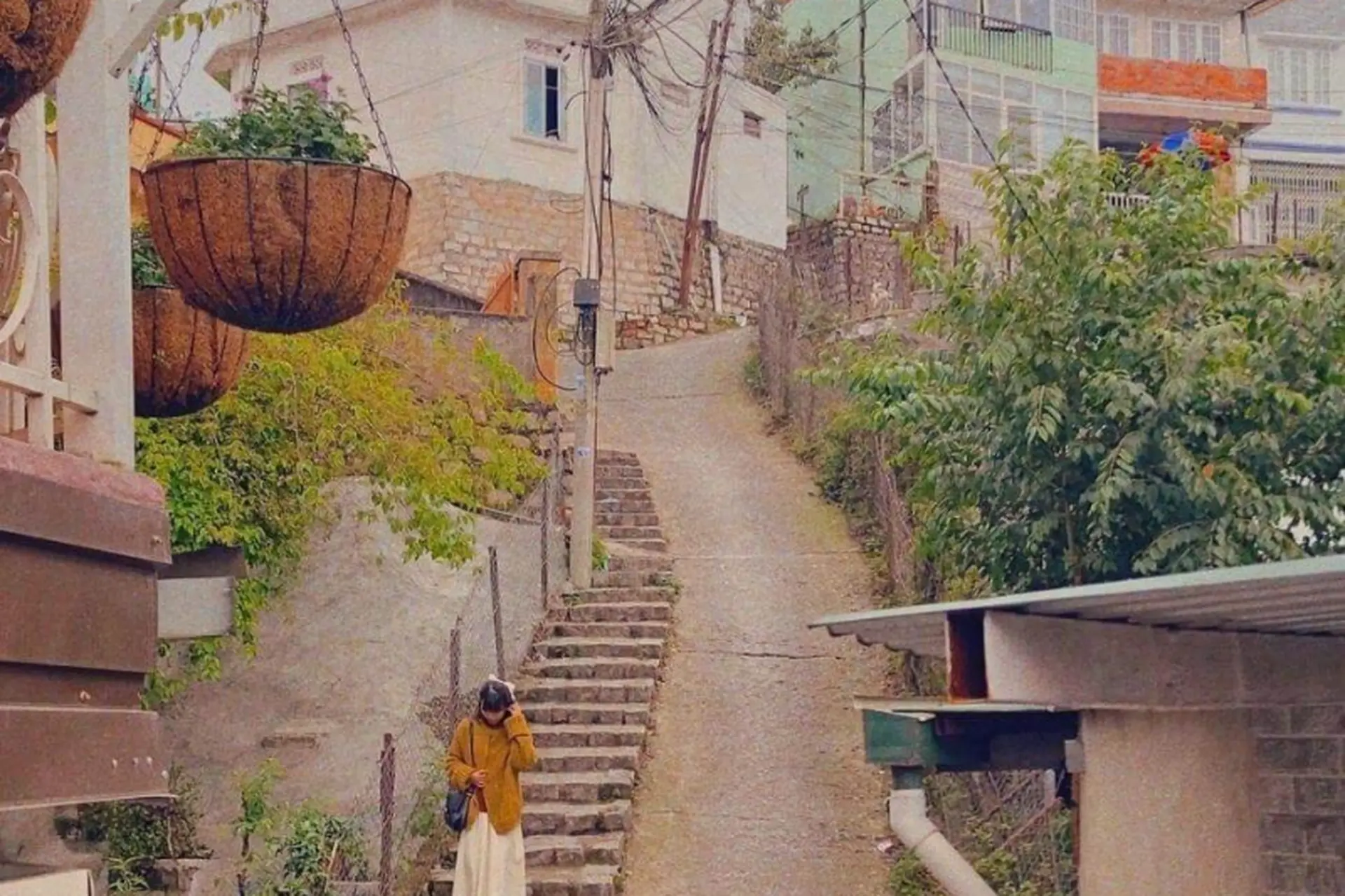 Dốc Nhà Bò: Điểm check-in hoài cổ nổi tiếng, đậm chất điện ảnh giữa lòng Đà Lạt mộng mơ