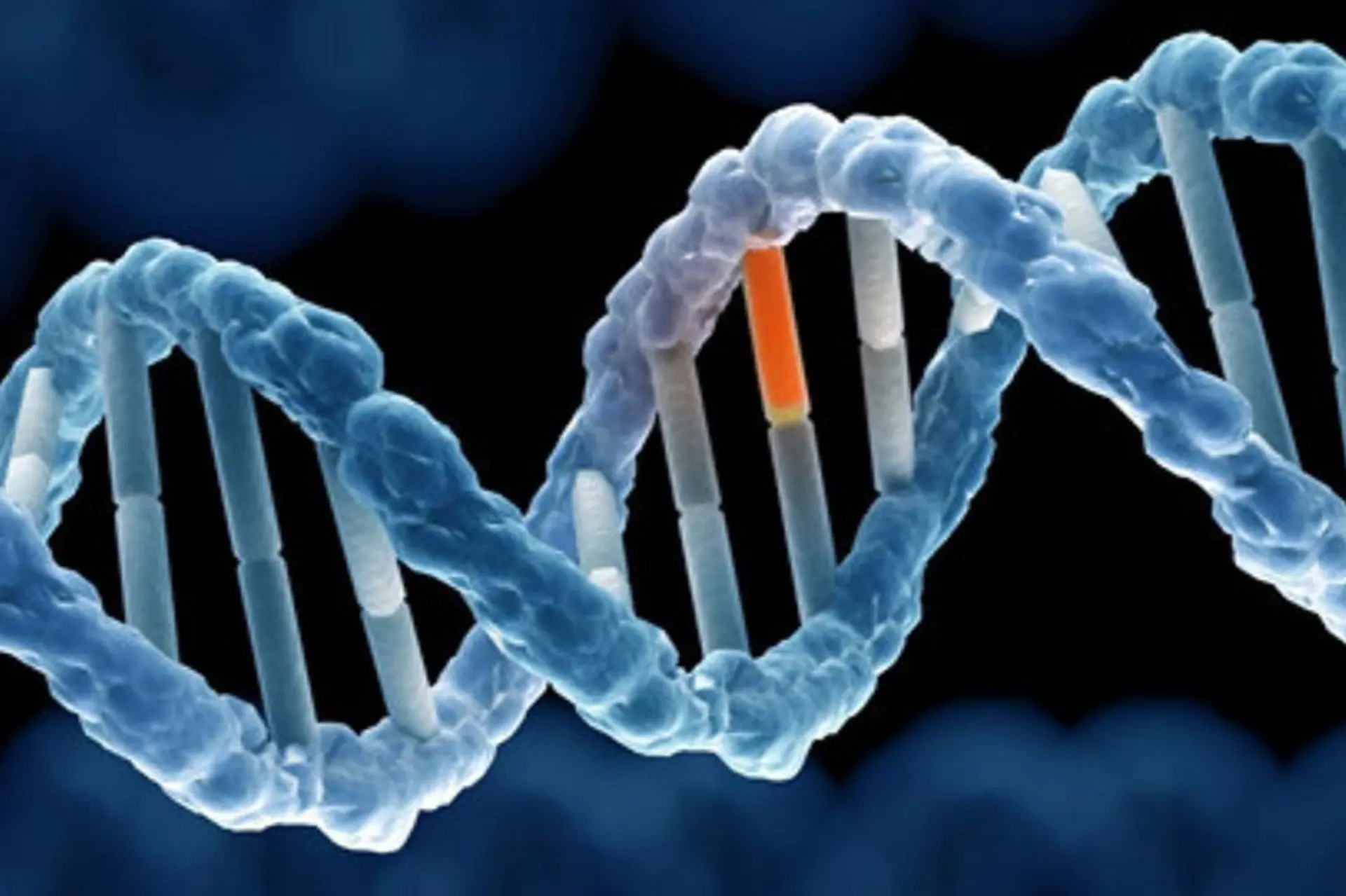 Đột biến gen là gì? Khái niệm, nguyên nhân, phân loại và hậu quả thường gặp