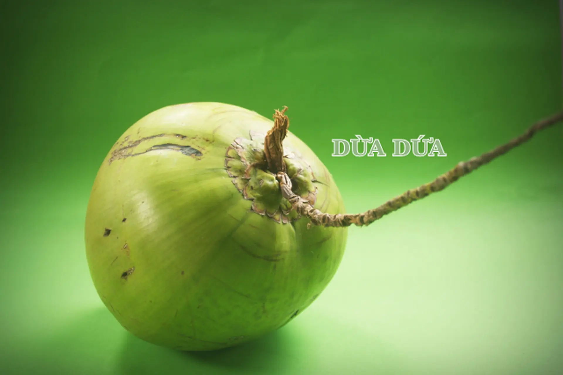 Dừa dứa ngọt mát - Bật mí cách nhận biết và tận hưởng trọn vẹn hương vị đặc sản nổi tiếng