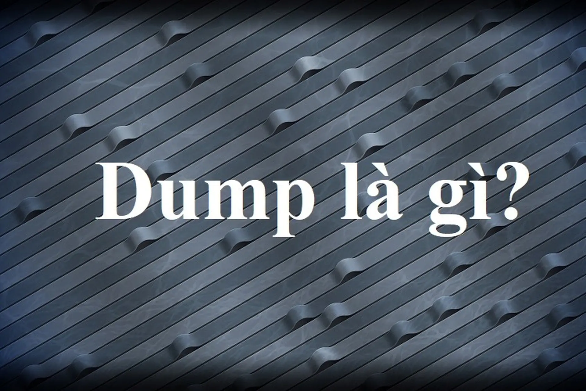 Dump là gì? Giải nghĩa và cách sử dụng từ dump trong các lĩnh vực, ngữ cảnh khác nhau