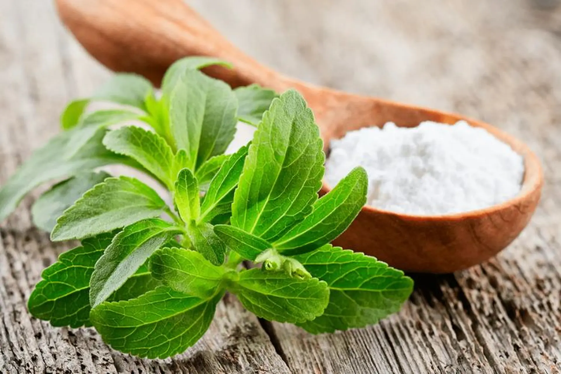 Đường cỏ ngọt là gì? Có tốt cho sức khỏe không? Cách sử dụng đường cỏ ngọt an toàn