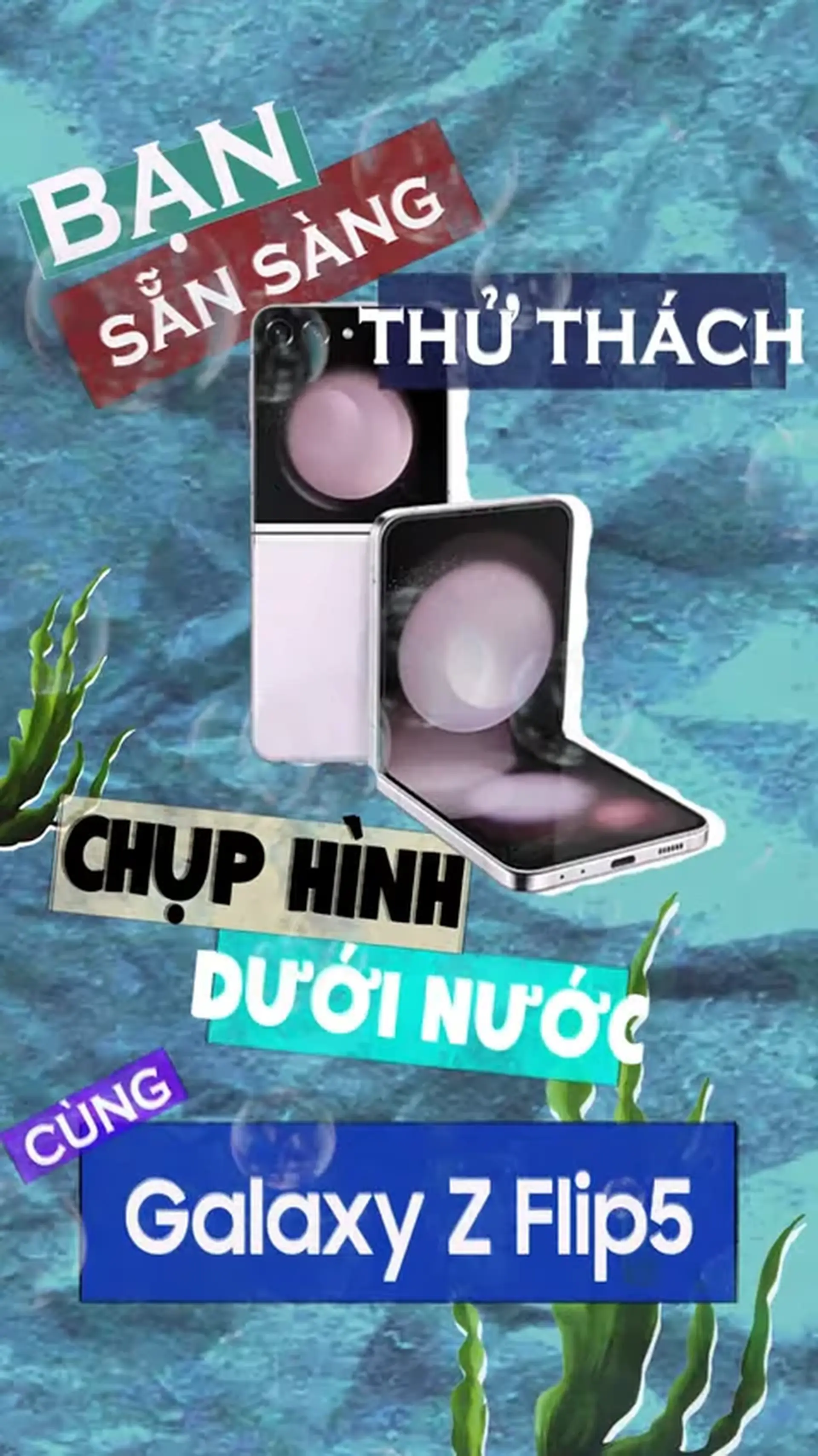 Underwater photography challenge - Chụp ảnh siêu nghệ với Galaxy Z Flip5