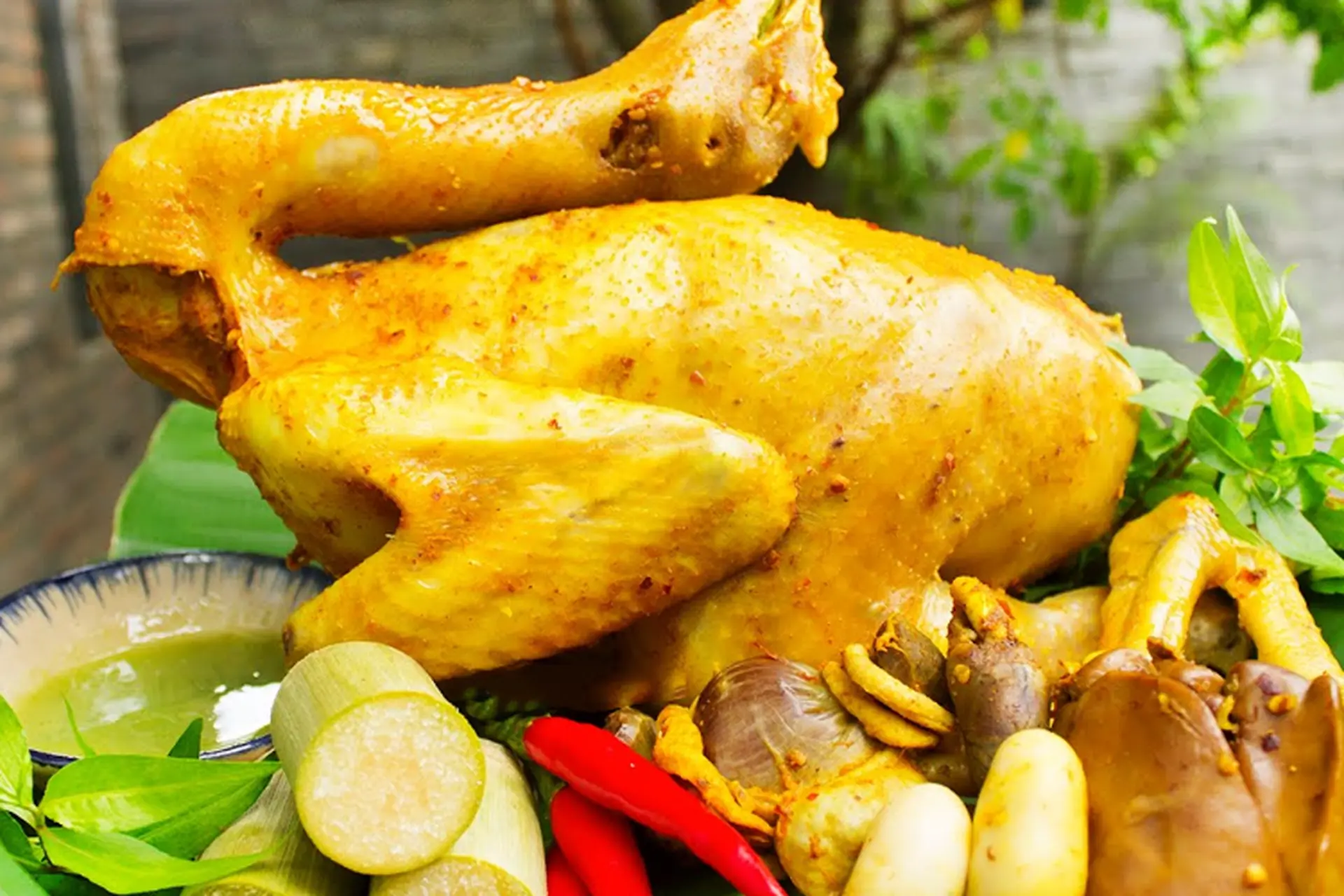 Công thức gà hấp mía đơn giản mà ngon, làm ngay cho bữa cơm gia đình