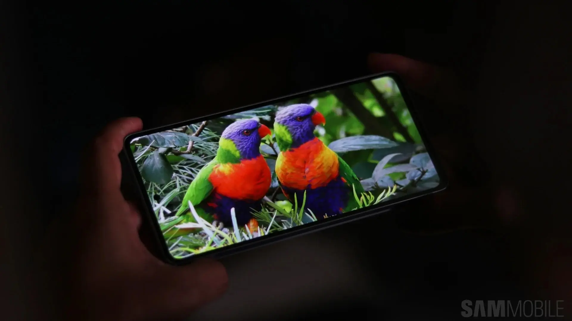 Galaxy A53 được cập nhật bản vá bảo mật tháng 9 năm 2024 tại nhiều quốc gia