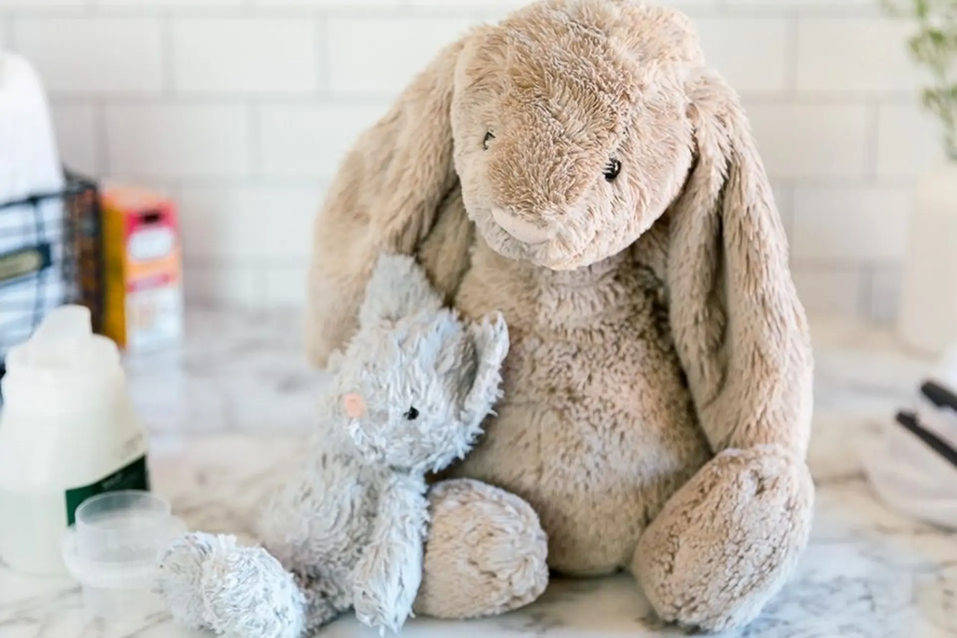 Gấu bông tiếng Anh là gì? Cách dùng teddy bear chuẩn, ví dụ và lưu ý quan trọng trong giao tiếp