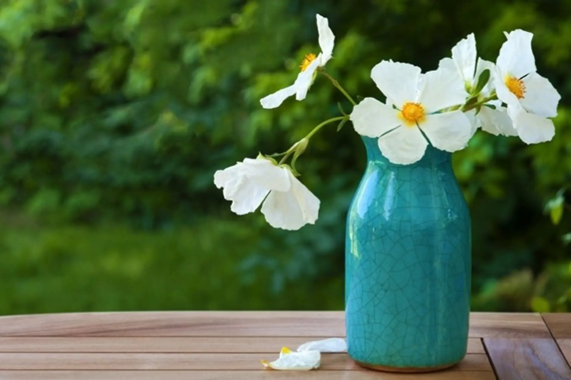 Giản dị là gì? Lý do vì sao đây là lối sống đáng trân trọng trong xã hội ngày nay