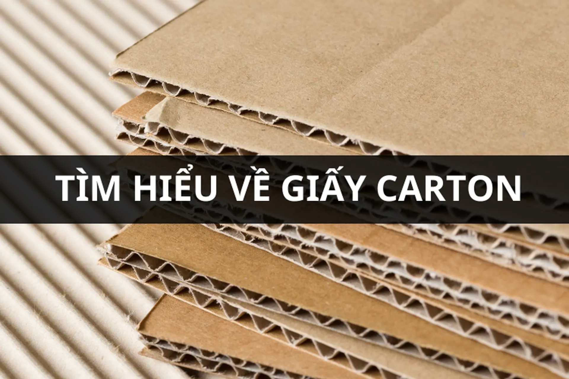 Giấy carton là gì? Tìm hiểu ưu điểm, phân loại chi tiết và vai trò trong đời sống