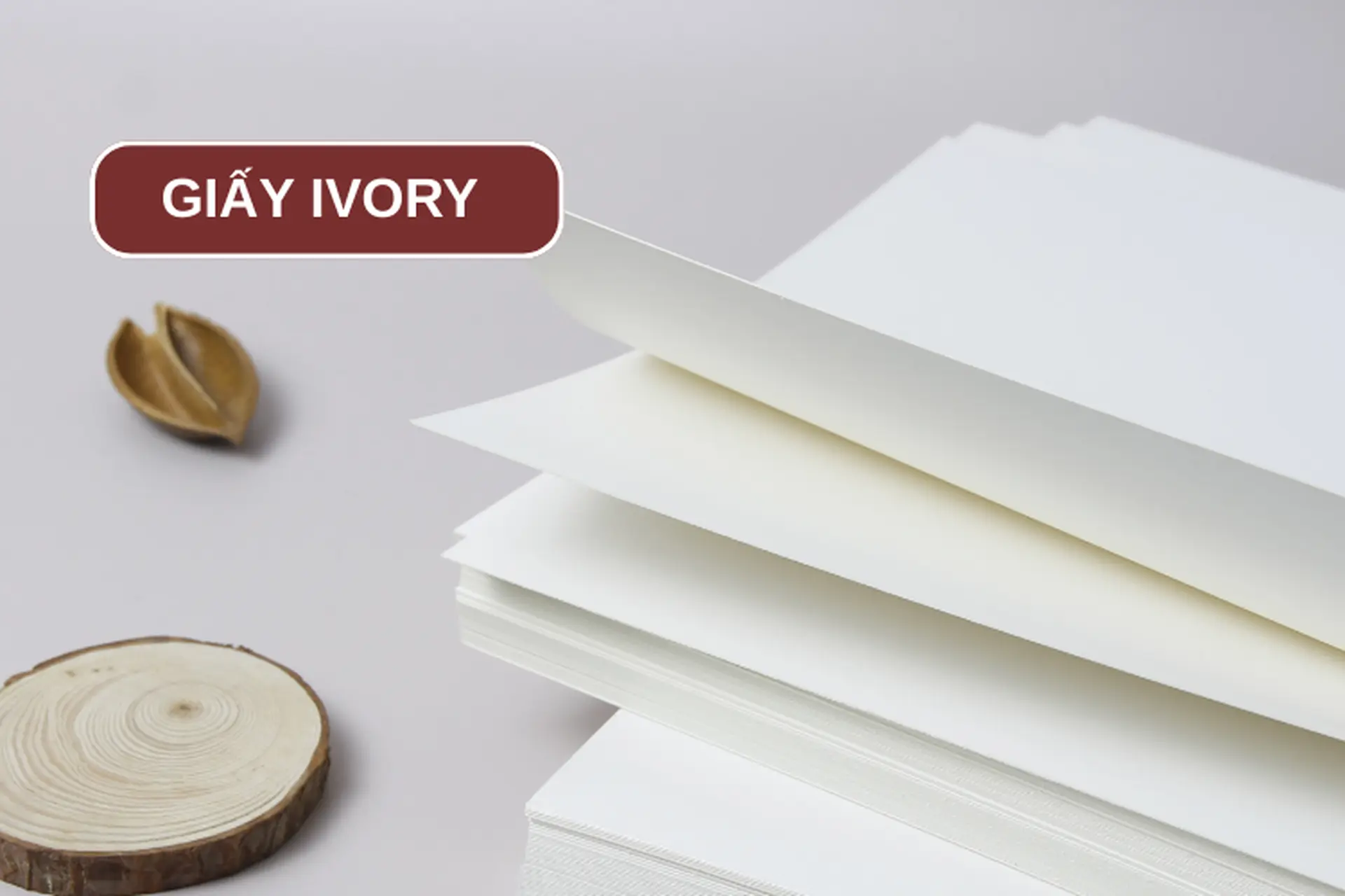 Giấy Ivory là gì? Khám phá đặc điểm và tính ứng dụng của giấy Ivory trong thực tế