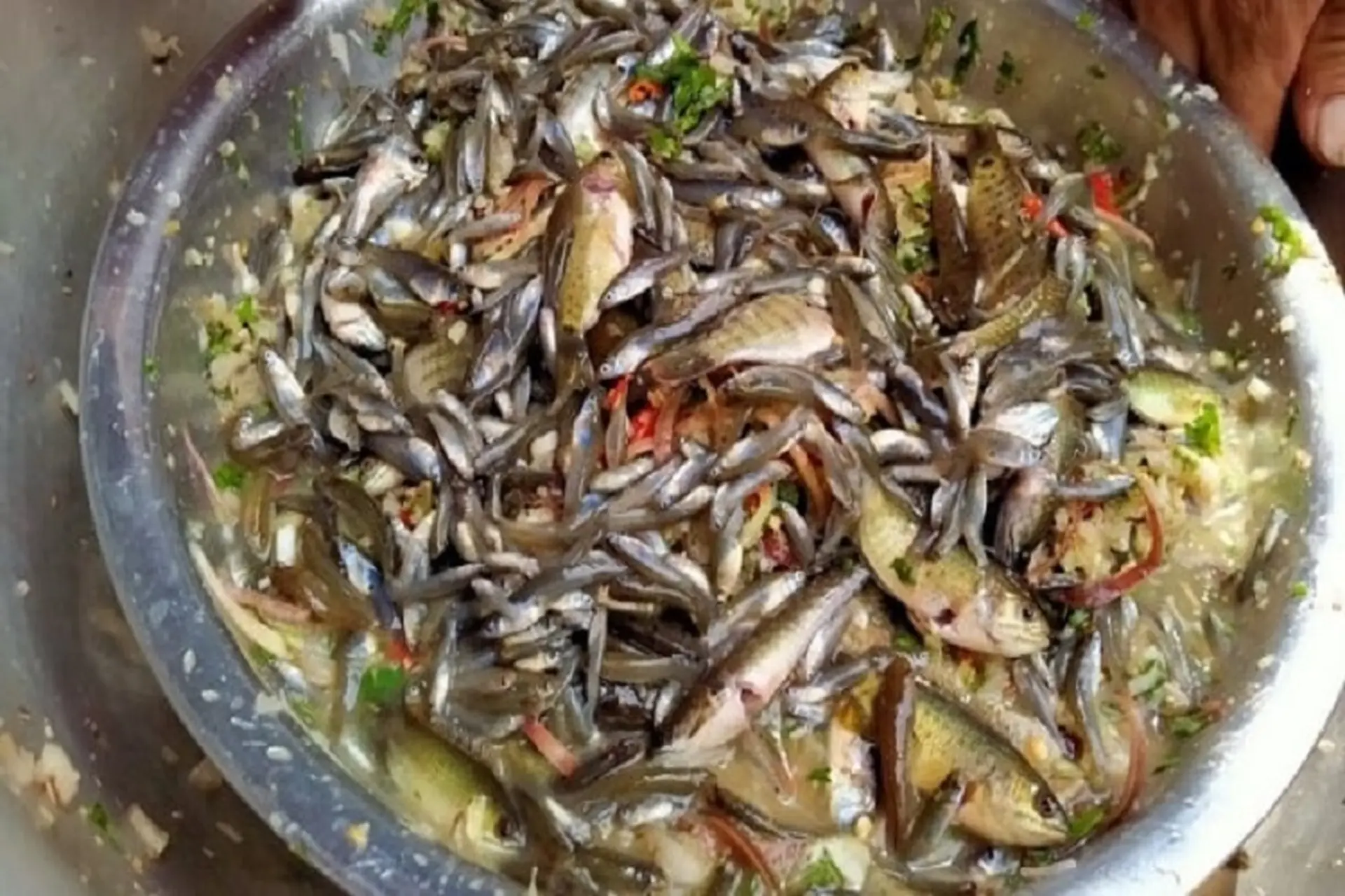 Hướng dẫn cách làm gỏi cá nhảy độc đáo, hấp dẫn lạ lùng của núi rừng Tây Bắc