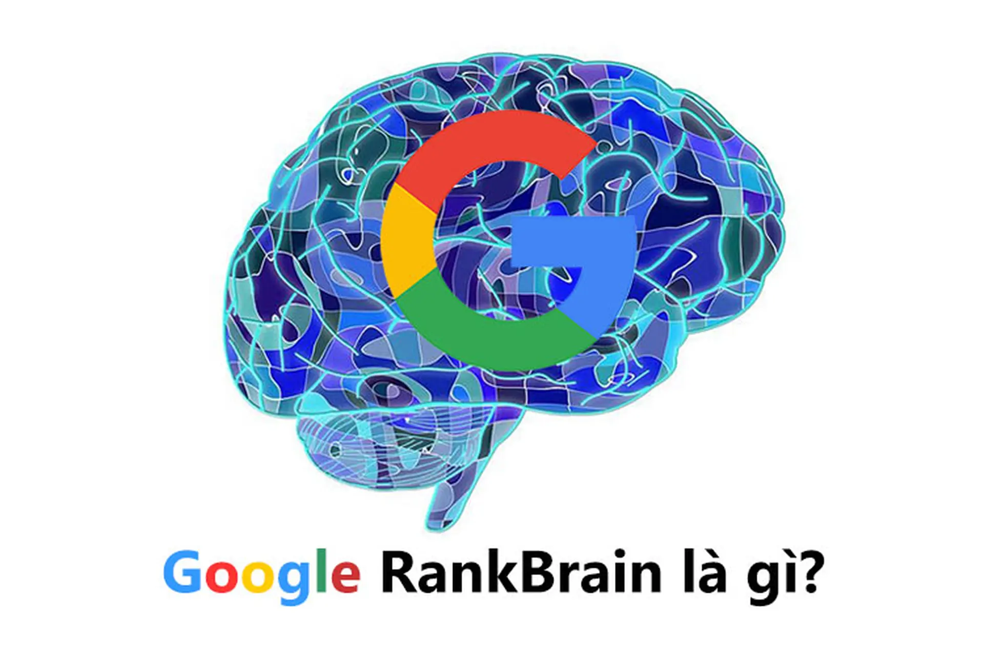 Google RankBrain là gì? Khám phá bí mật đằng sau thuật toán tìm kiếm số 1 thế giới
