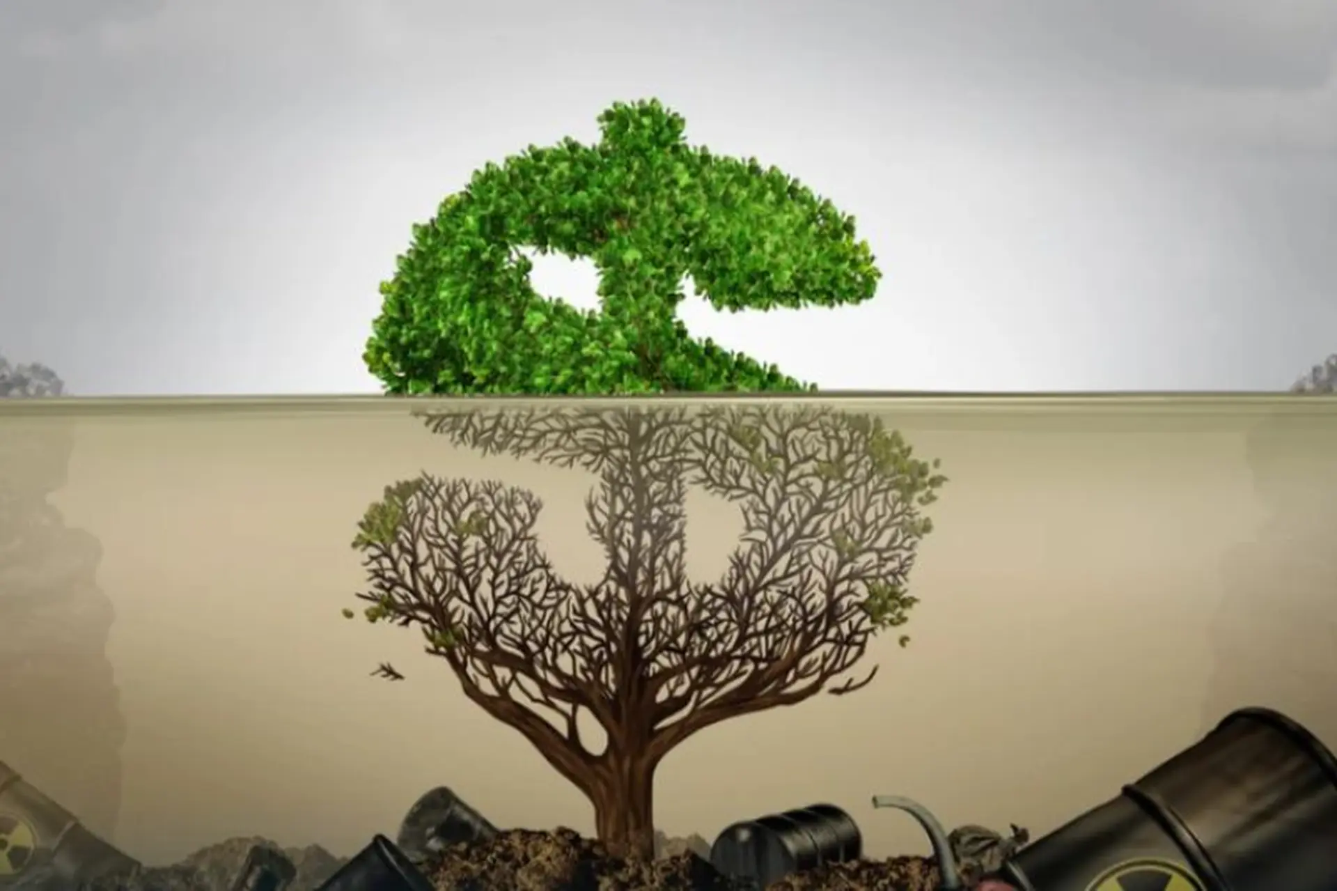 Greenwashing là gì? Khái niệm, rủi ro, hậu quả và cách phòng tránh quảng cáo xanh sai lệch
