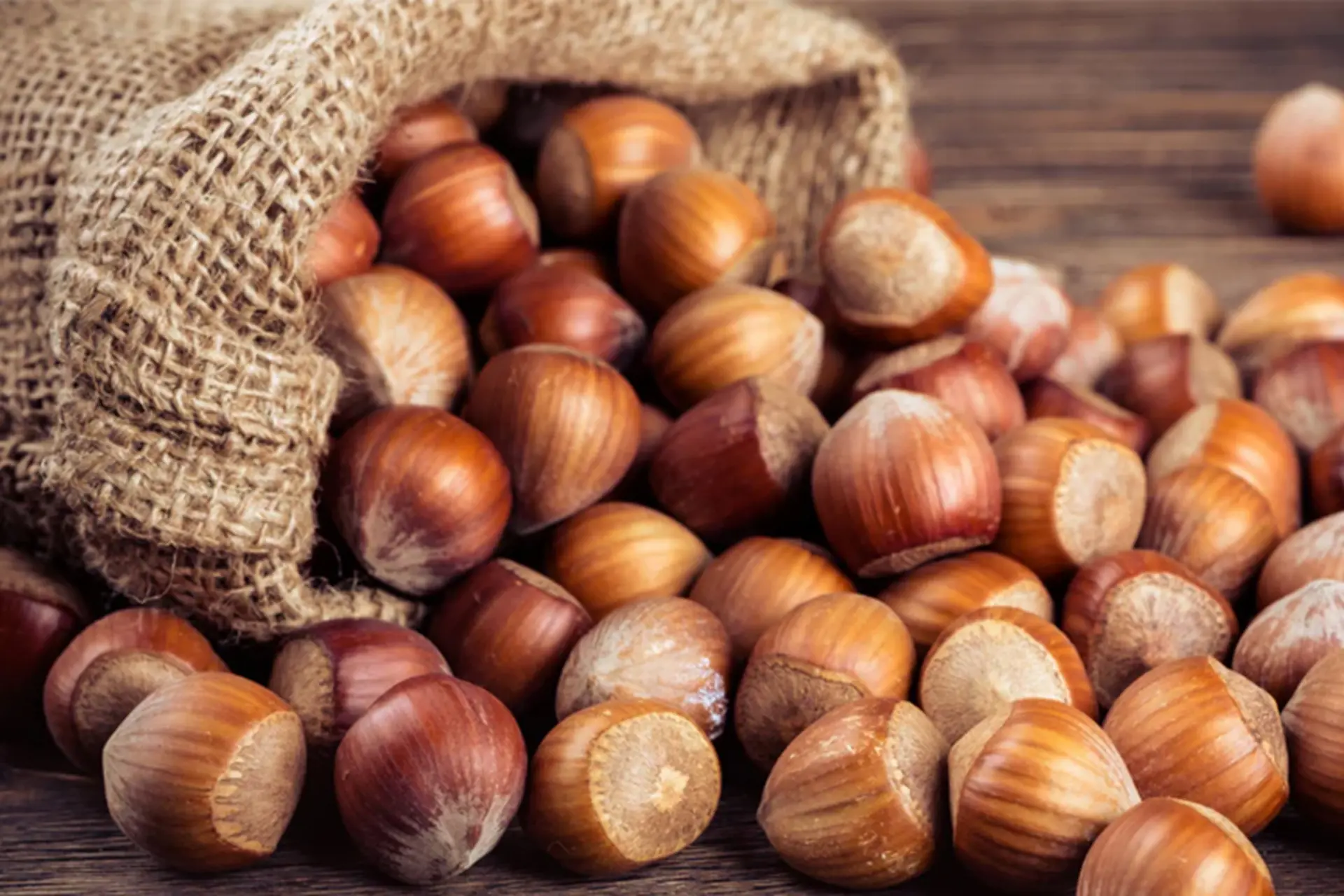 Hạt hazelnut có lợi ích gì? Khám phá một siêu thực phẩm vàng cho sức khỏe con người