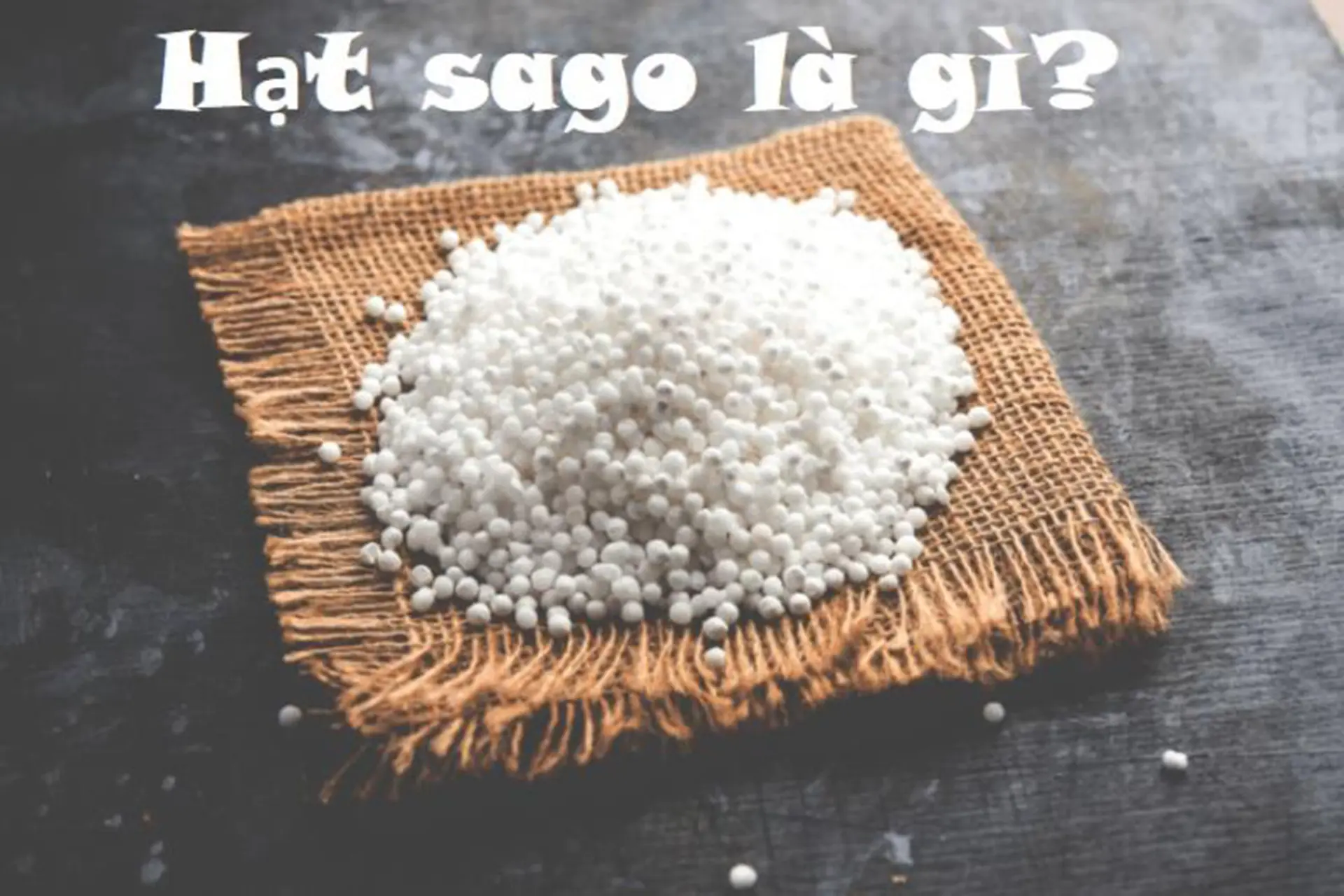Sago là gì? Khám phá nguồn gốc và công dụng thực tế của loại tinh bột đặc biệt này