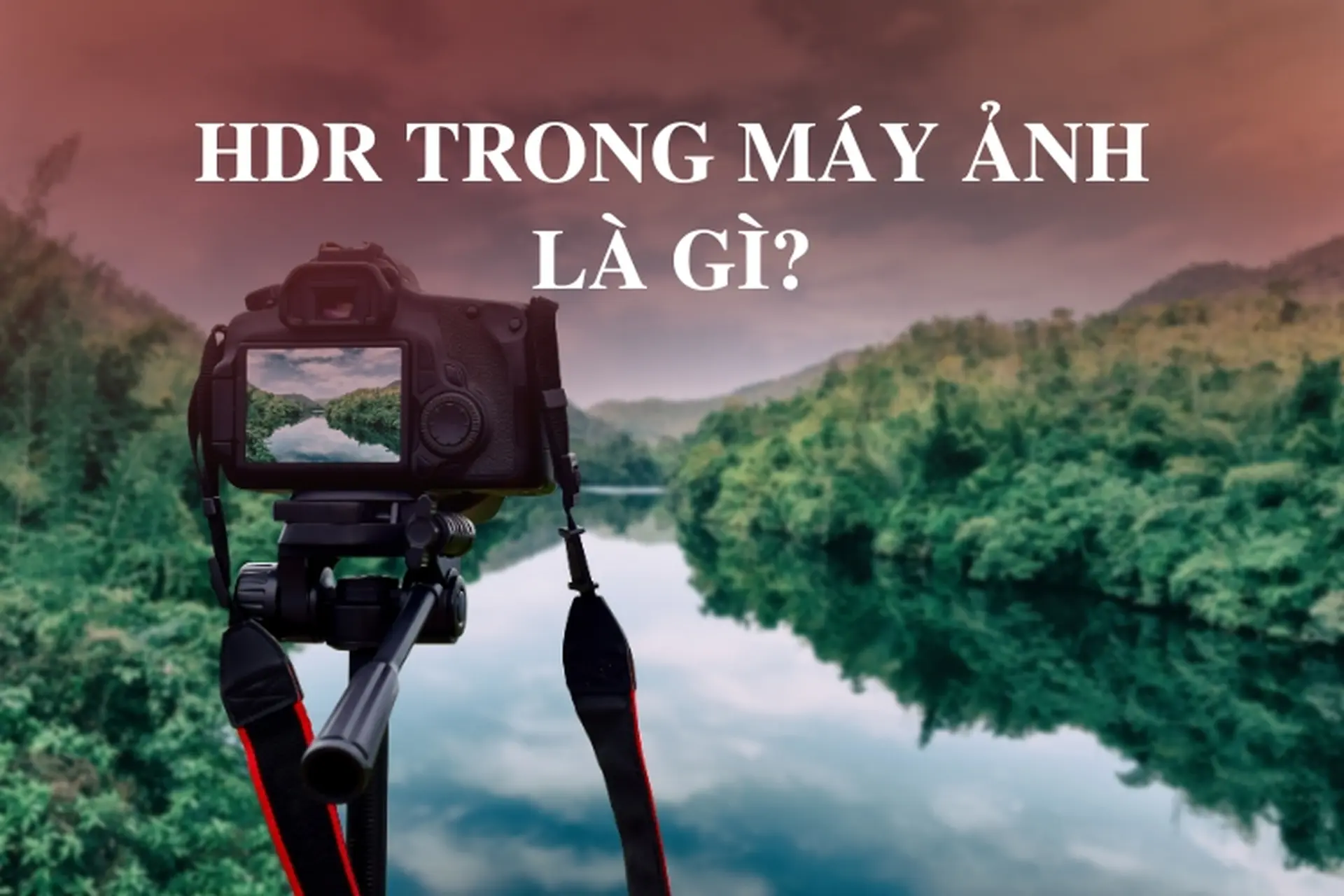Giải đáp chế độ HDR trong máy ảnh là gì? Tìm hiểu tính năng chụp ảnh nổi bật