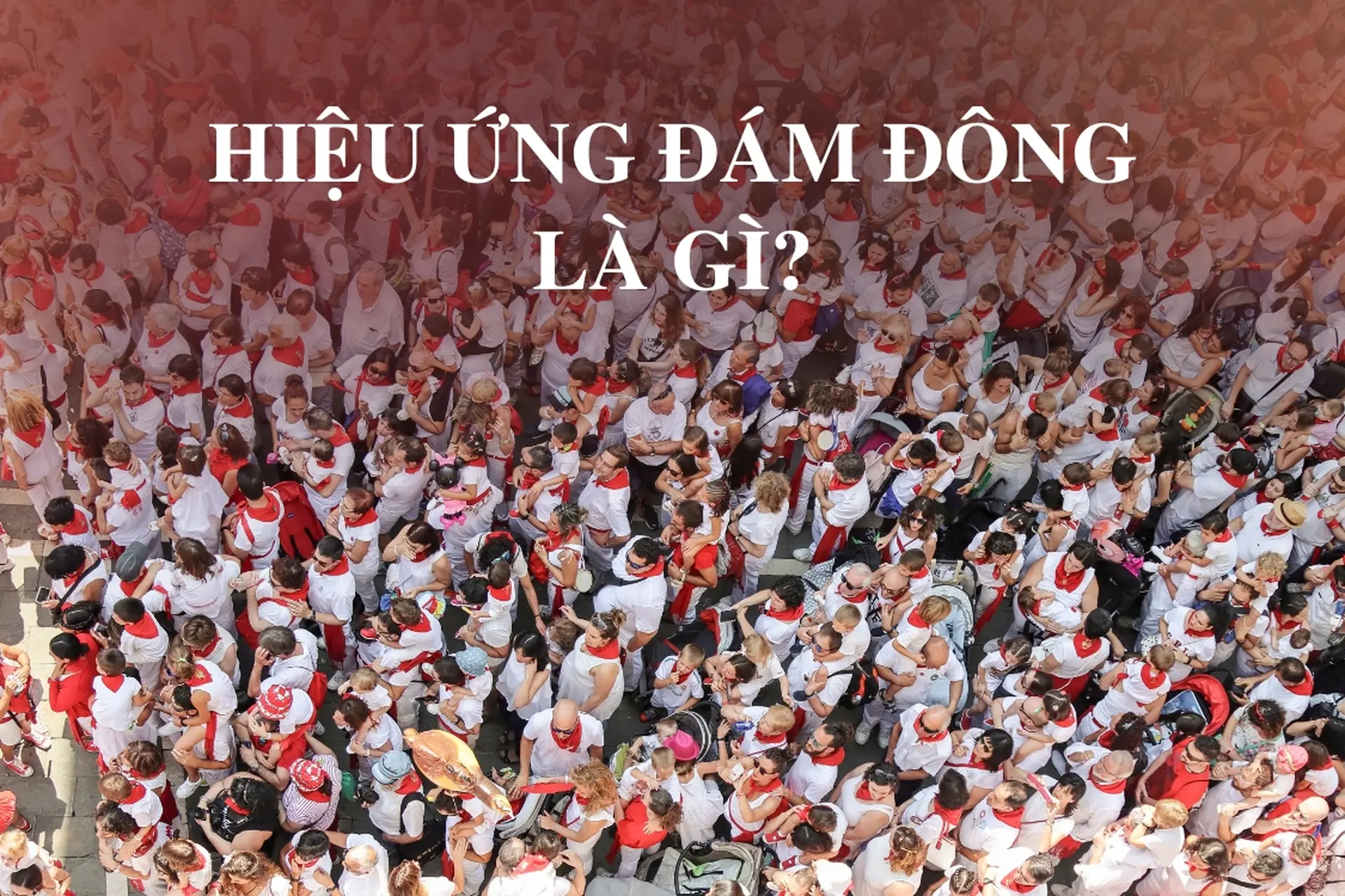 Hiệu ứng đám đông là gì? Nguyên nhân, tác động và cách ứng dụng trong kinh doanh