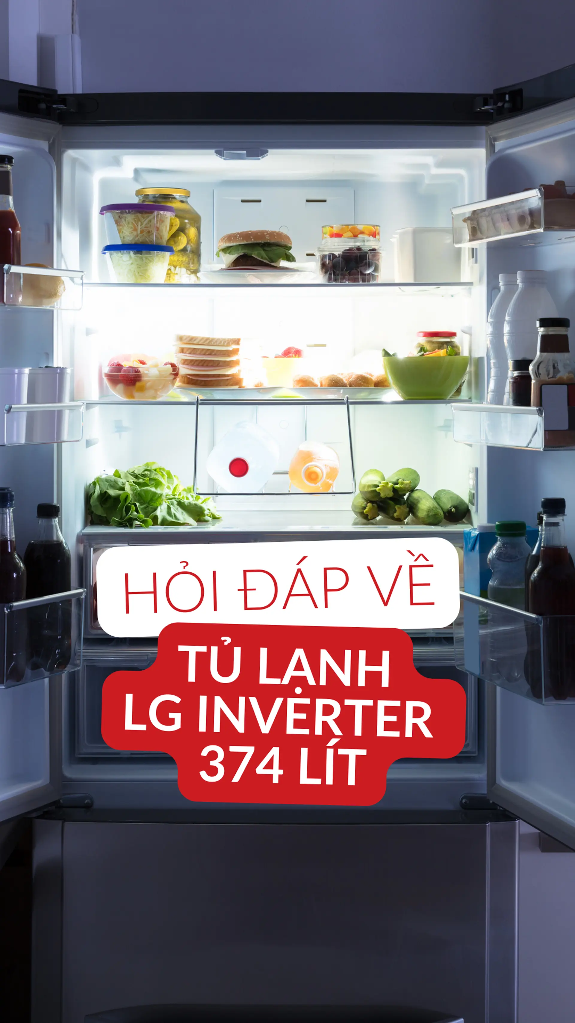 Câu hỏi thường gặp về tủ lạnh LG Inverter 374 Lít GN-D372PS