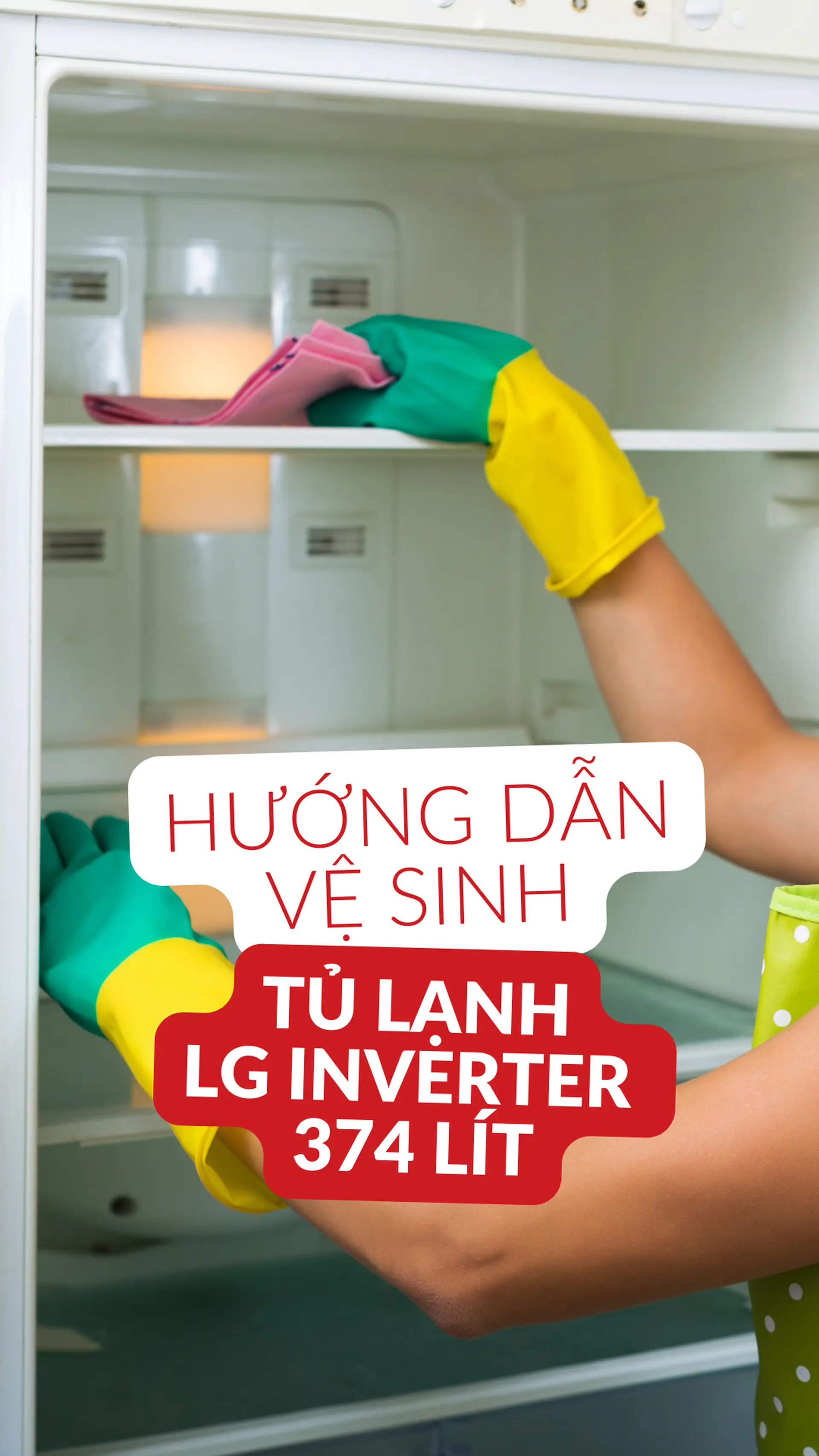Hướng dẫn vệ sinh tủ lạnh LG Inverter 374 Lít GN-D372PS