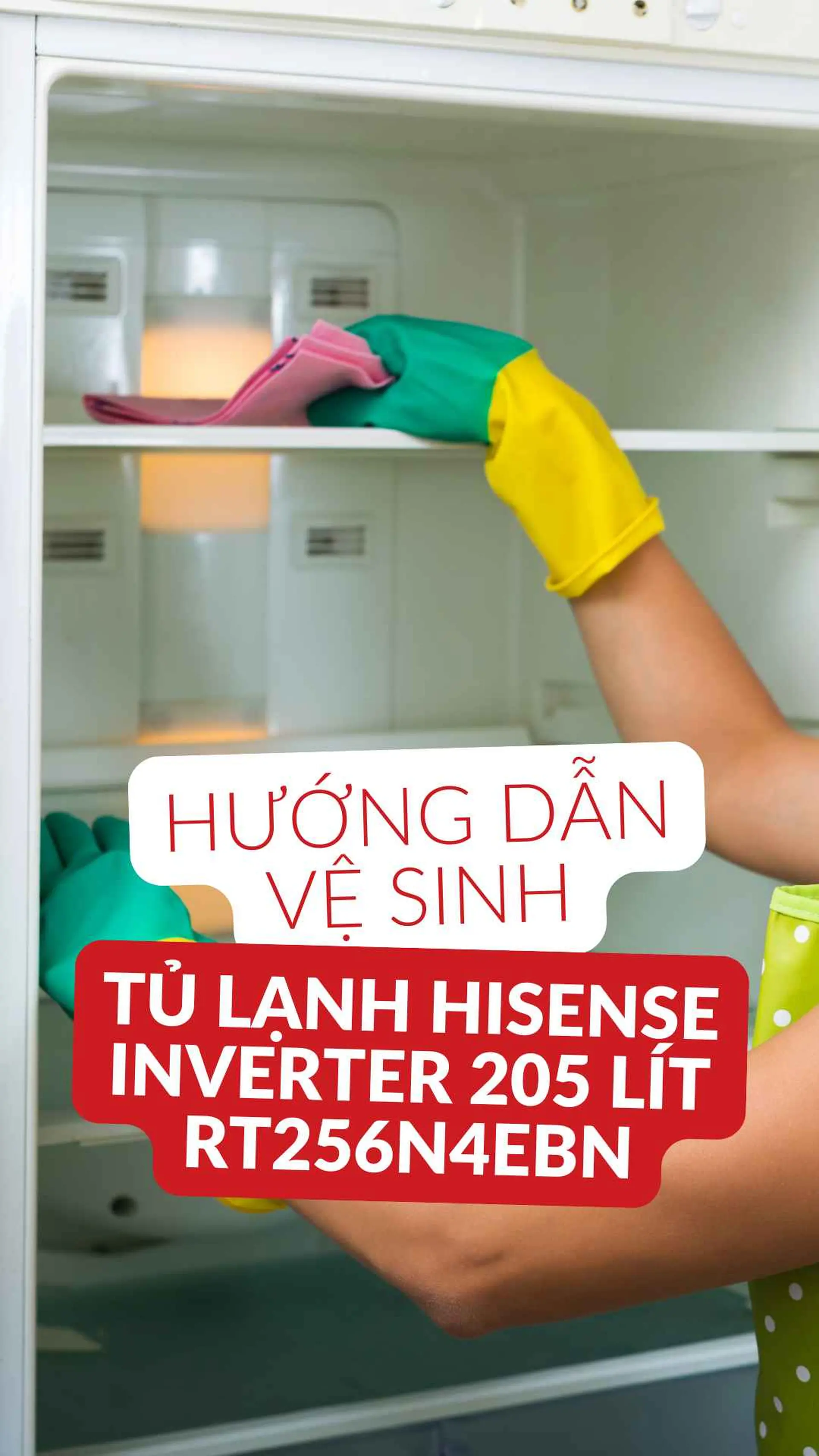 Hướng dẫn vệ sinh Tủ lạnh Hisense Inverter 205 lít RT256N4EBN