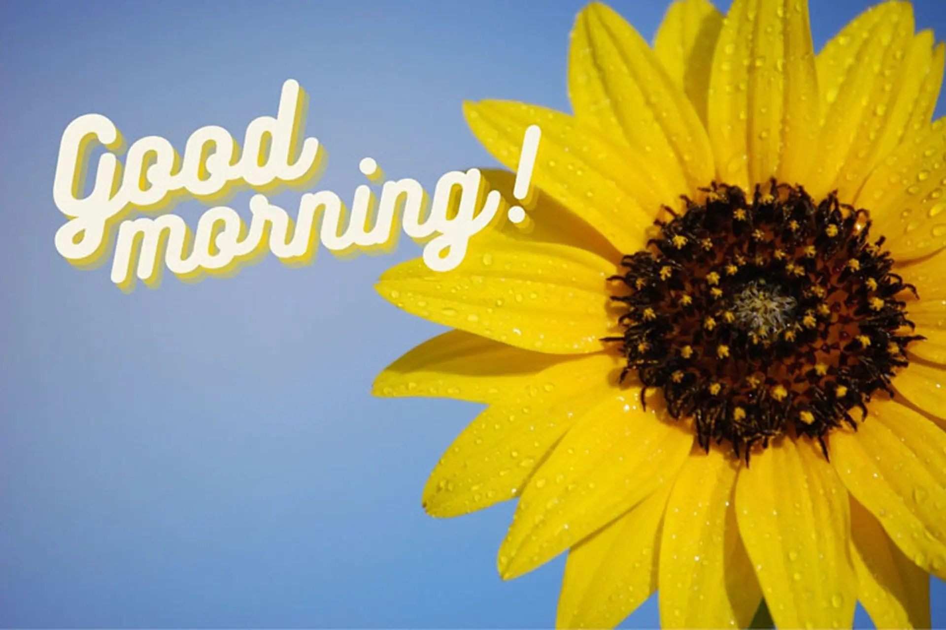 Top 50+ hình ảnh chúc ngày mới ý nghĩa, tiếp thêm năng lượng gửi tặng những người thân yêu